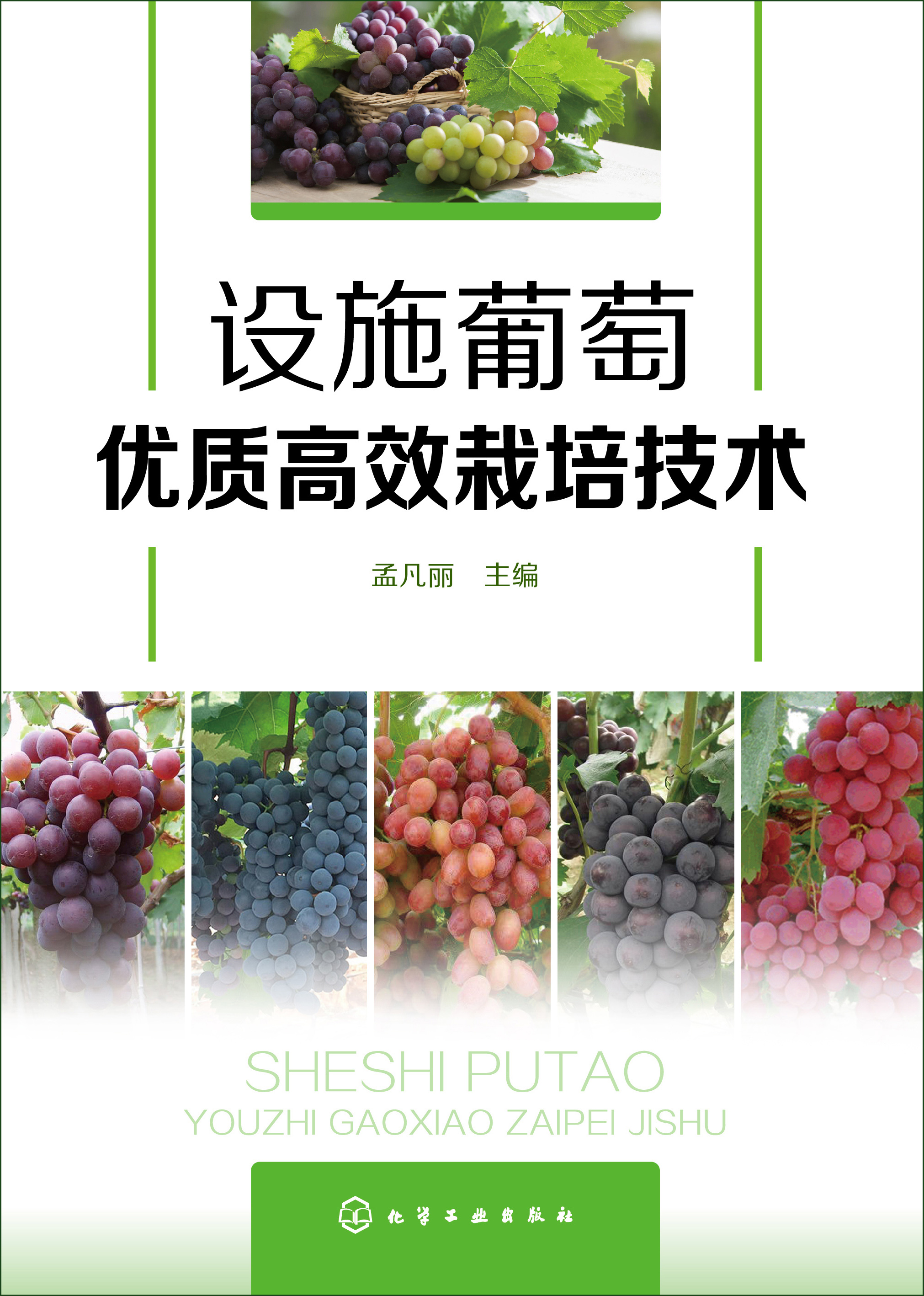 设施葡萄优质高效栽培技术
