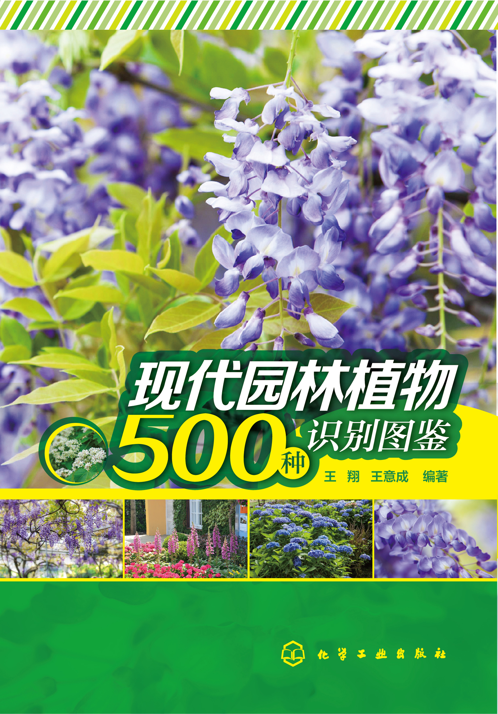 现代园林植物500种识别图鉴