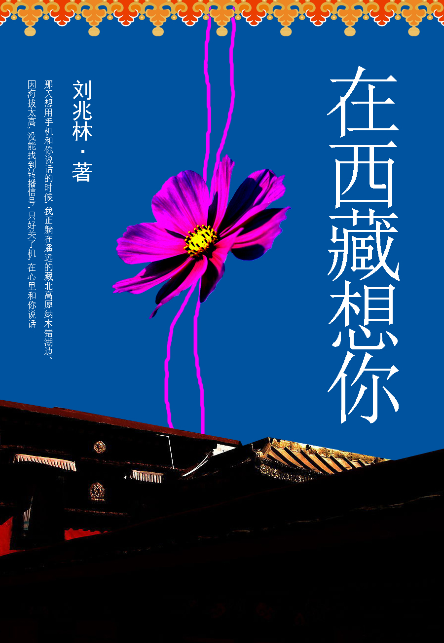 在西藏想你