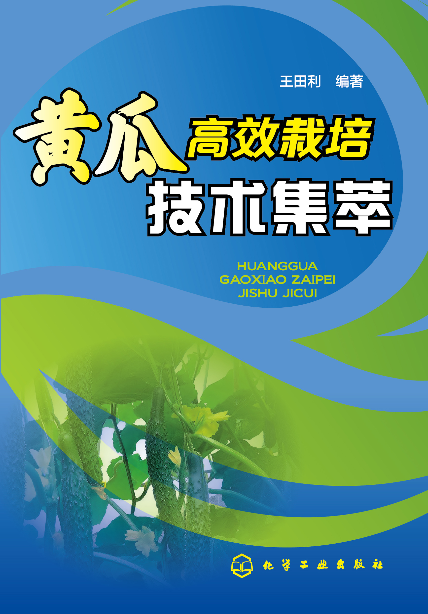 黄瓜高效栽培技术集萃