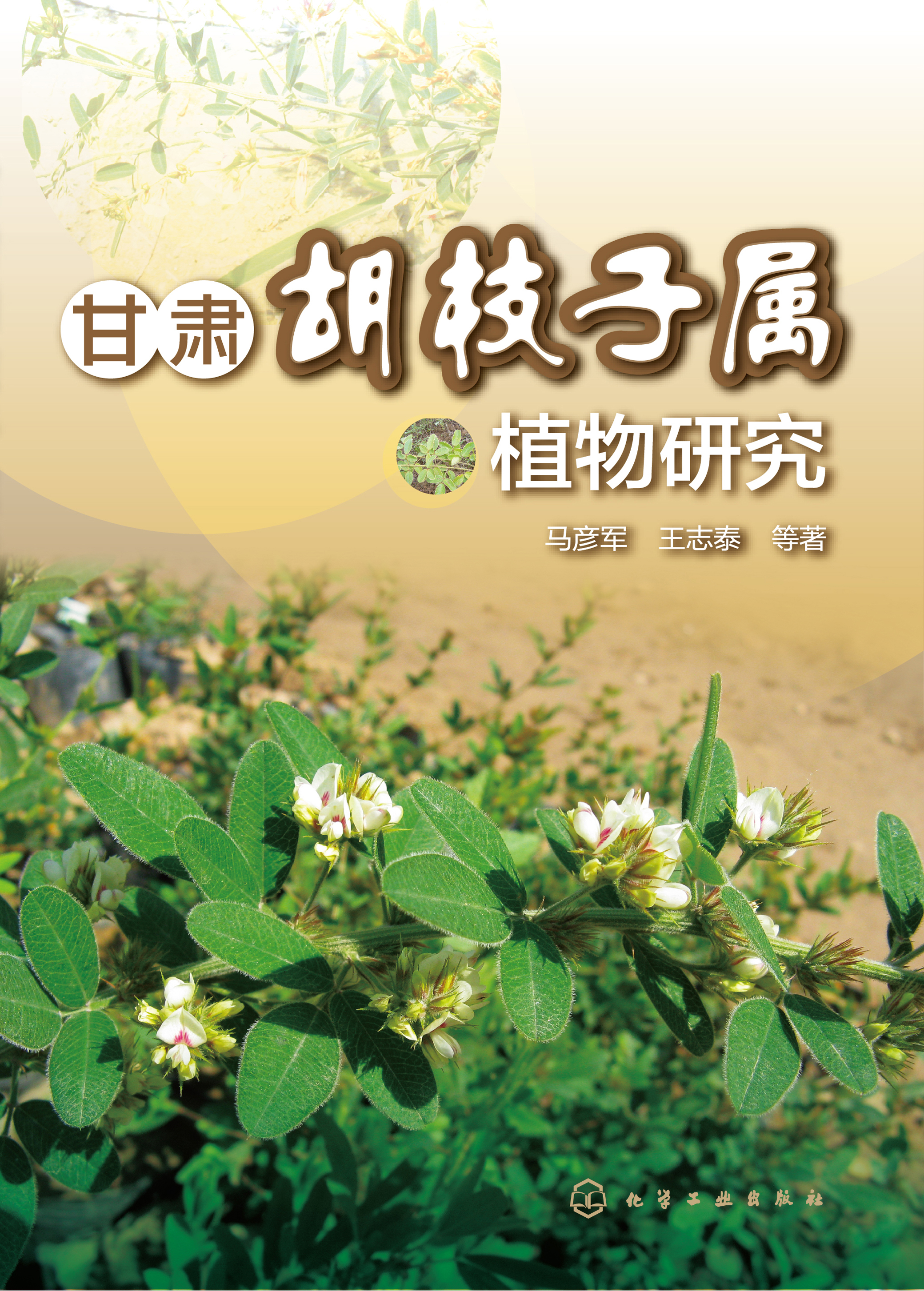 甘肃胡枝子属植物研究