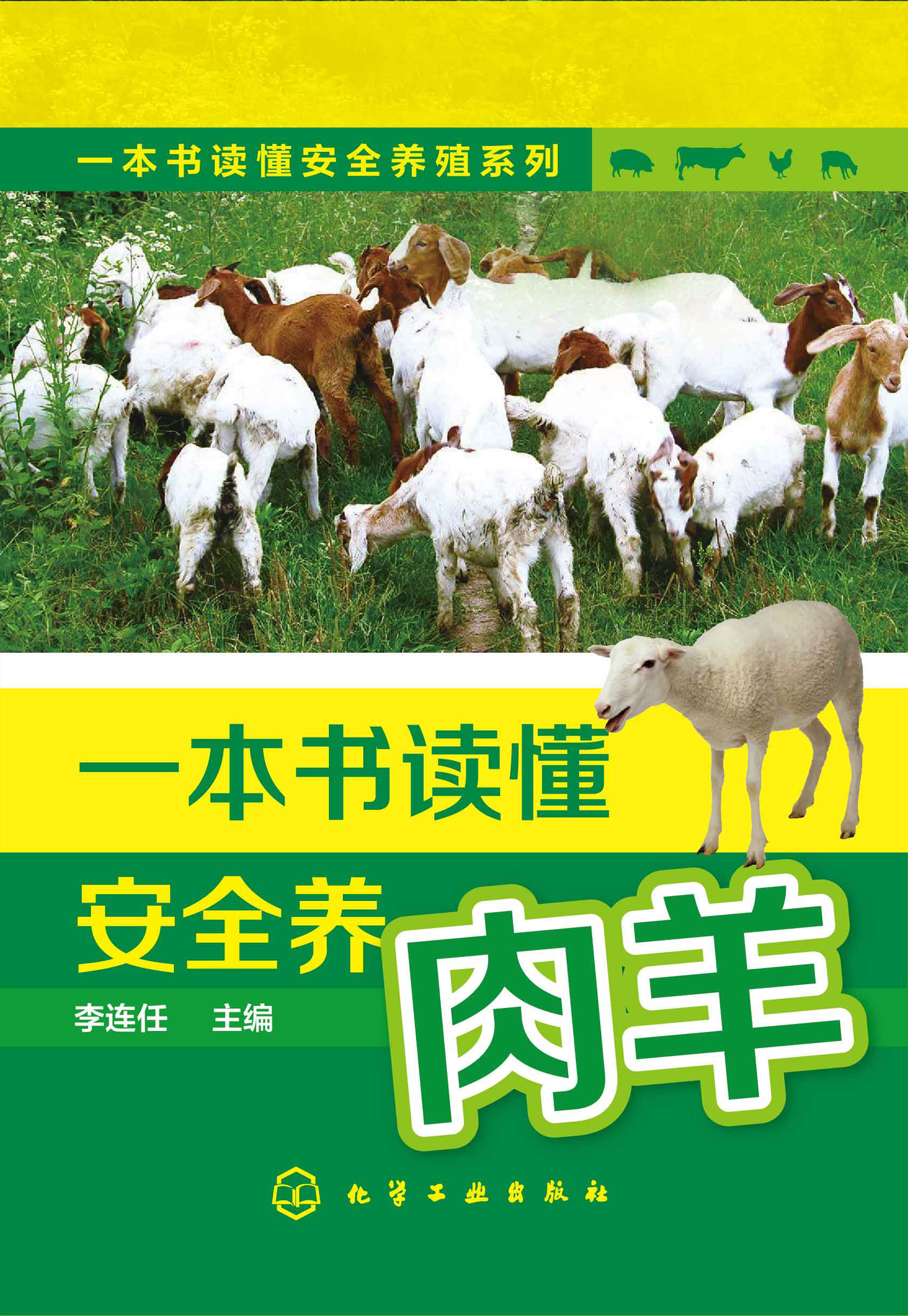 一本书读懂安全养肉羊