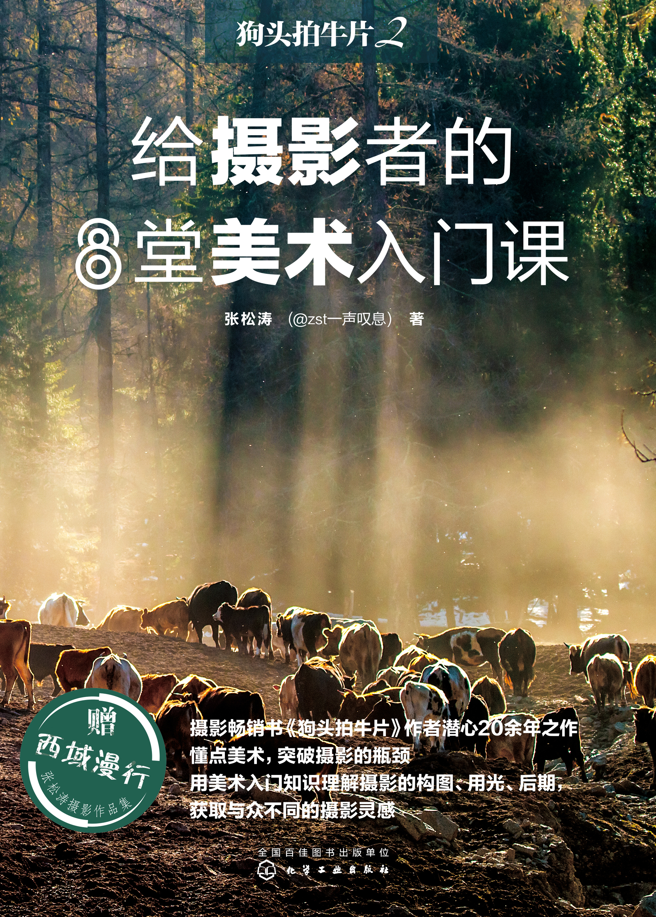 狗头拍牛片 2——给摄影者的8堂美术入门课