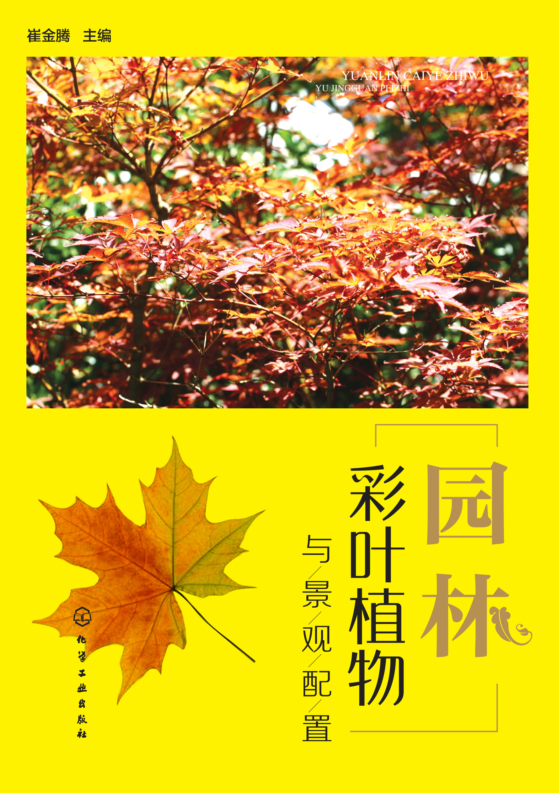 园林彩叶植物与景观配置