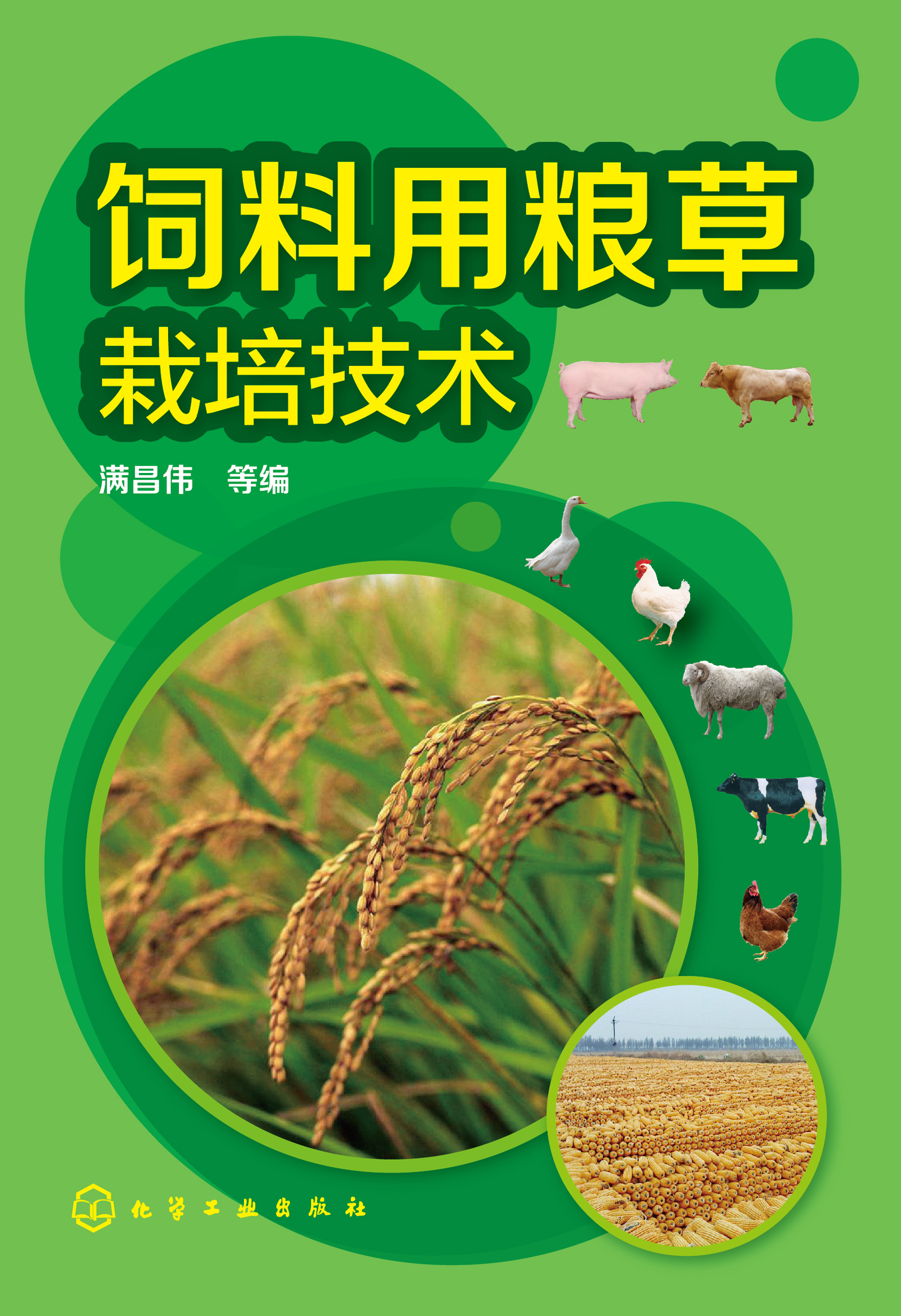 饲料用粮草栽培技术
