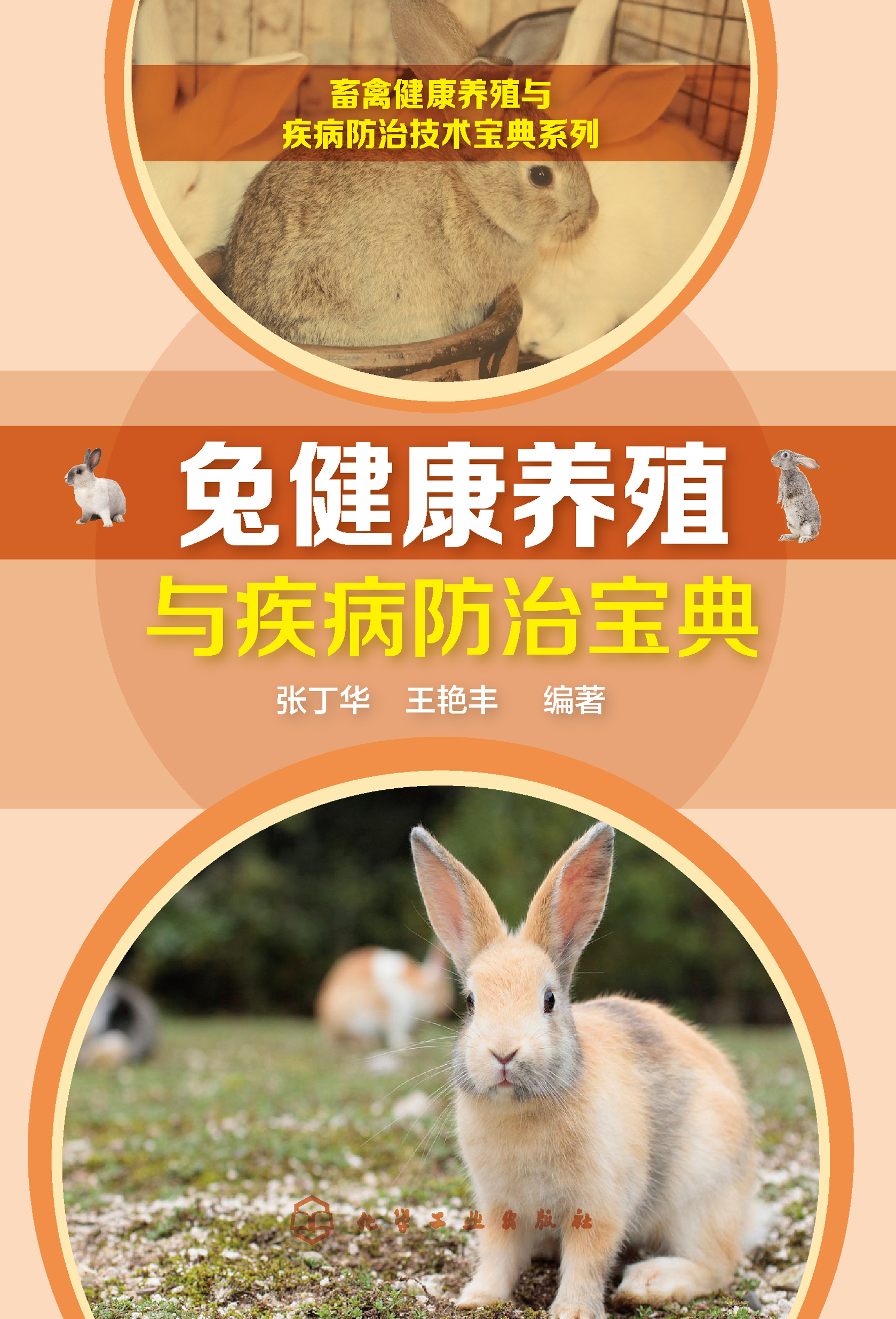 兔健康养殖与疾病防治宝典