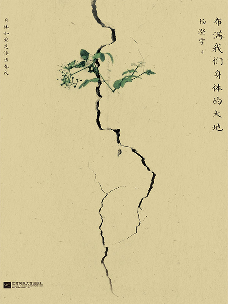 布满我们身体的大地