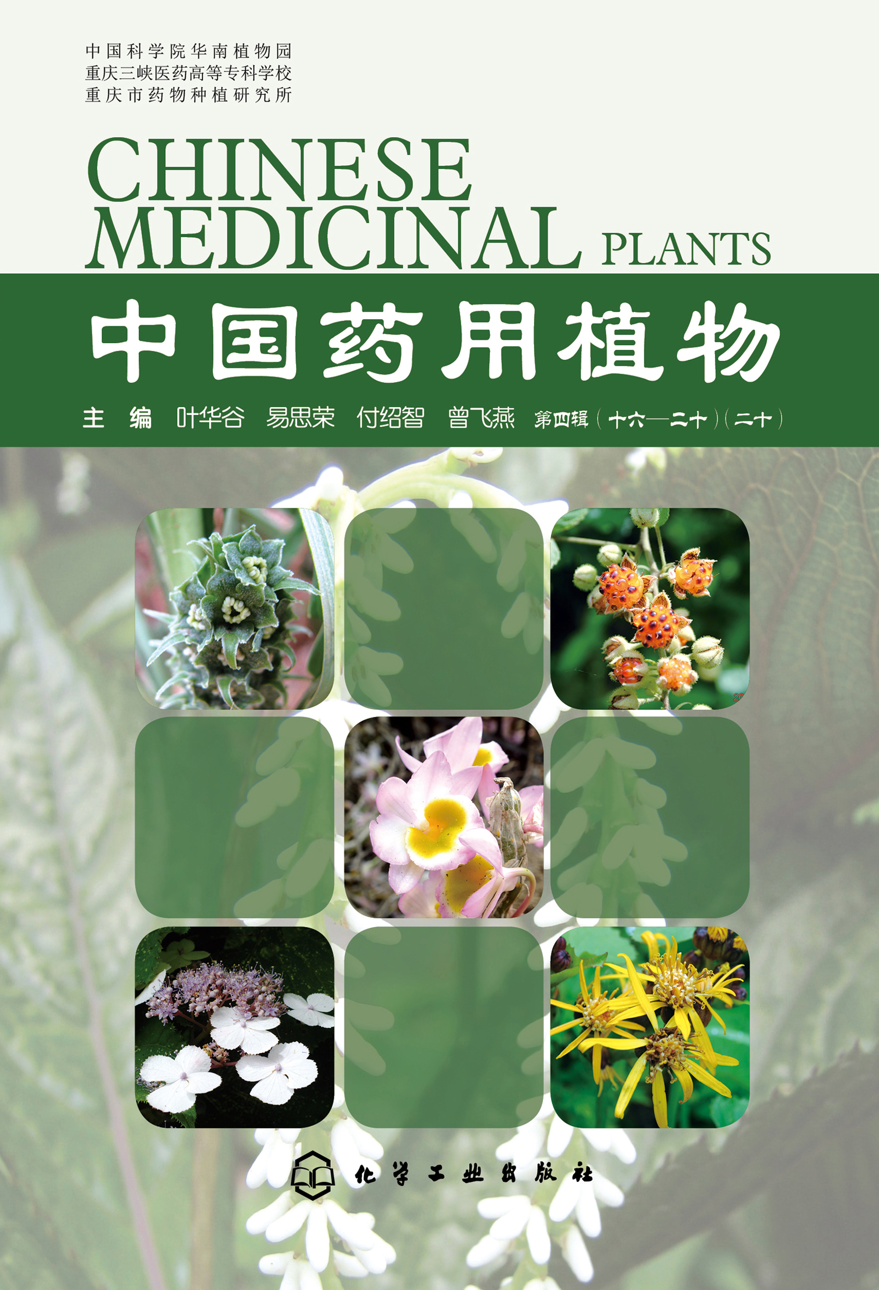 中国药用植物（第四辑 十六-二十）（二十）