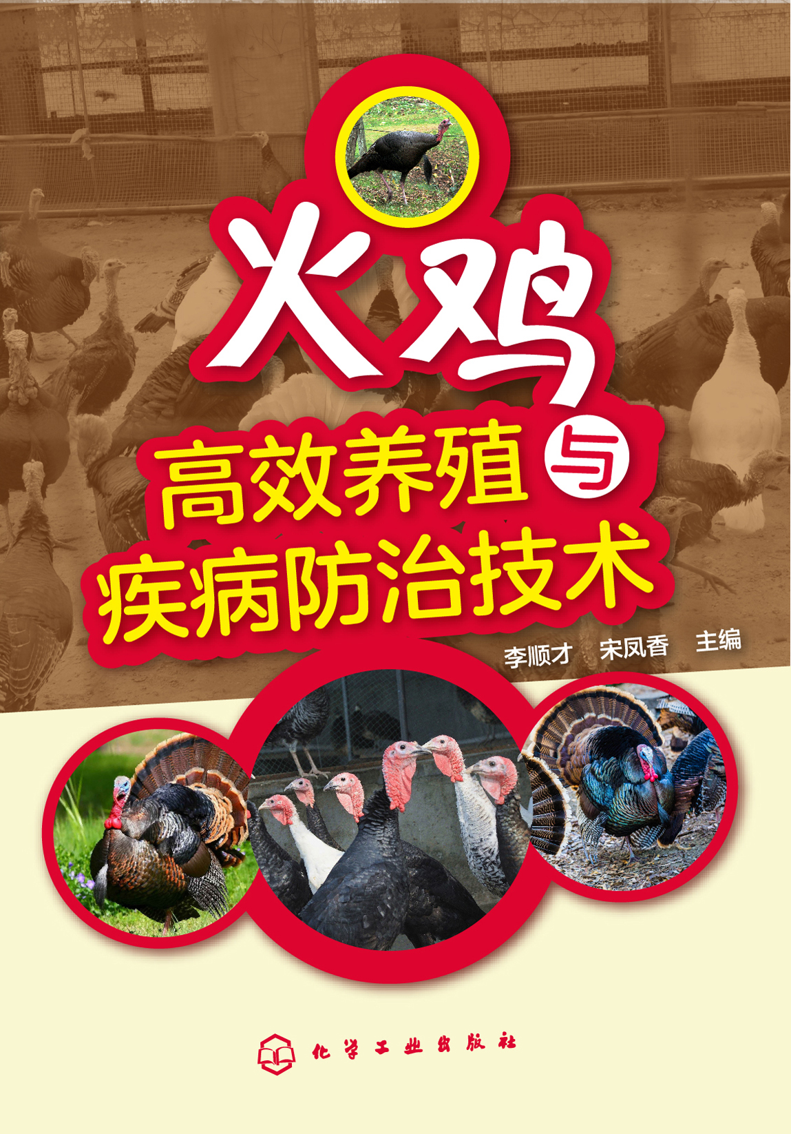 火鸡高效养殖与疾病防治技术