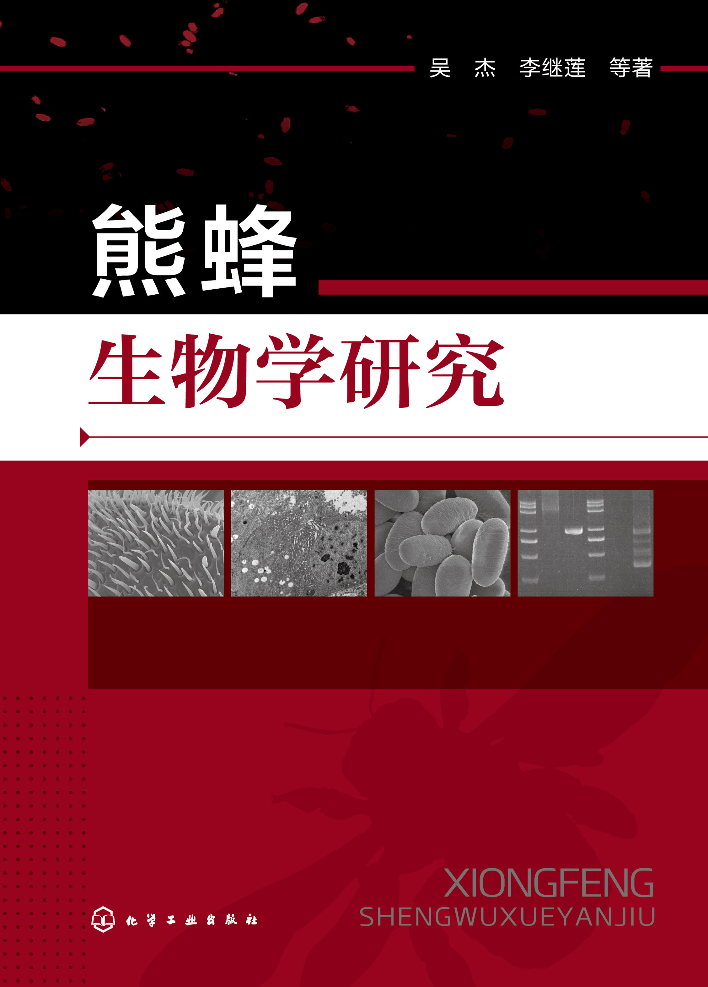 熊蜂生物学研究