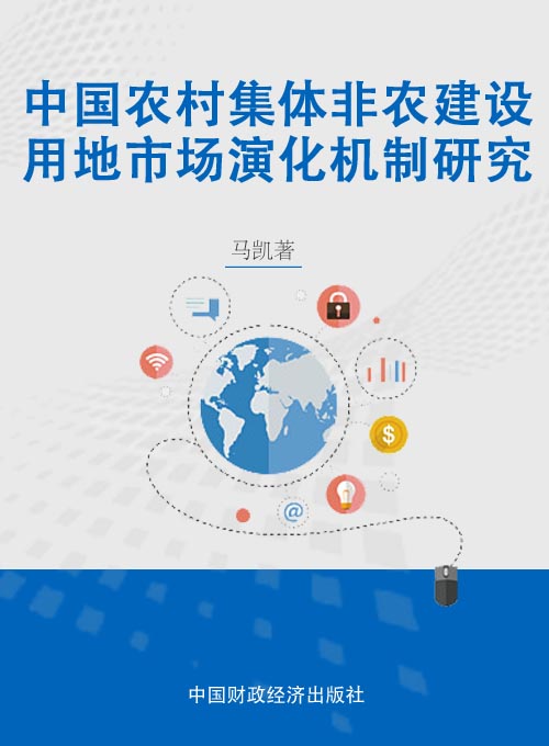 中国农村集体非农建设用地市场演化机制研究