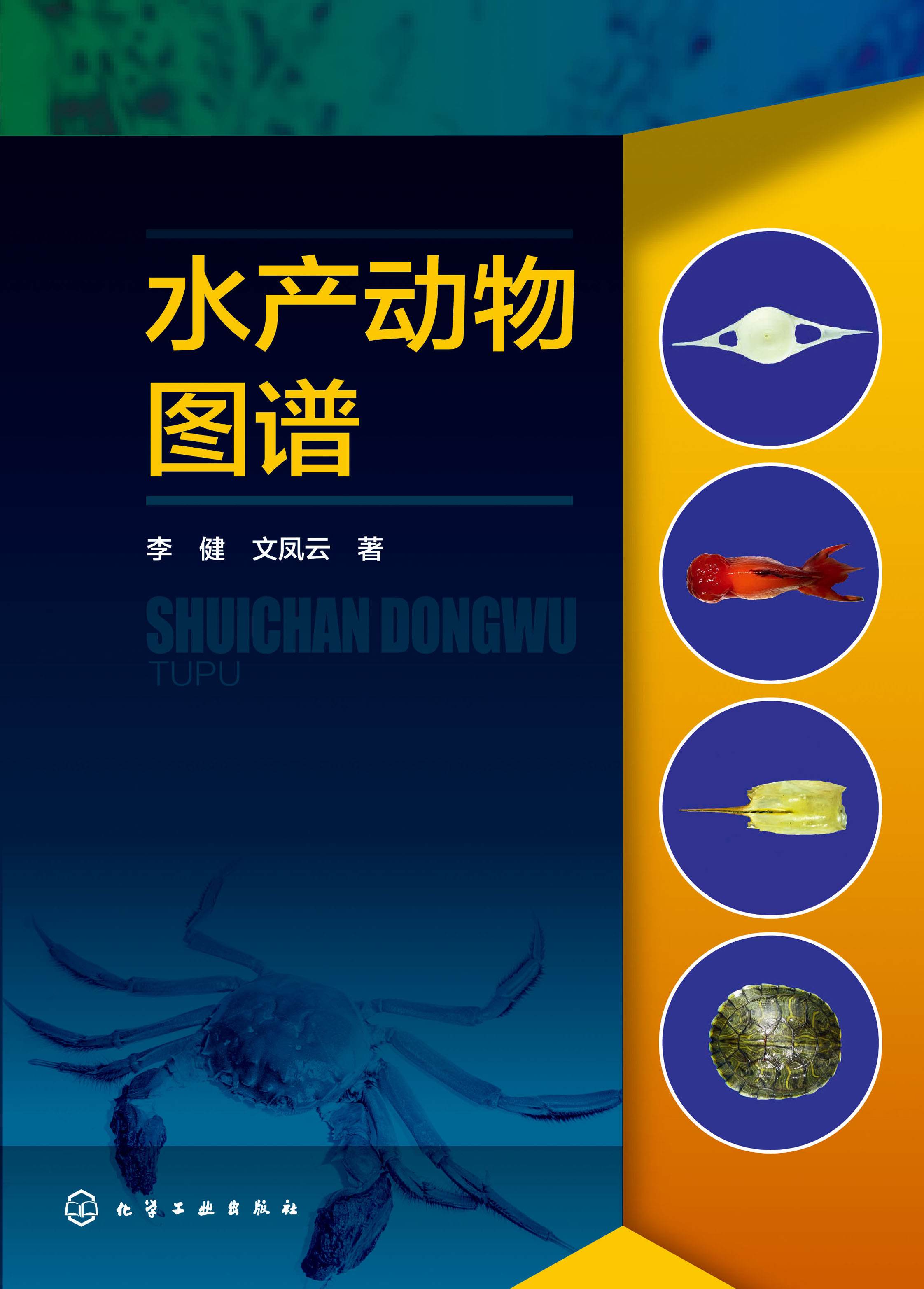 水产动物图谱