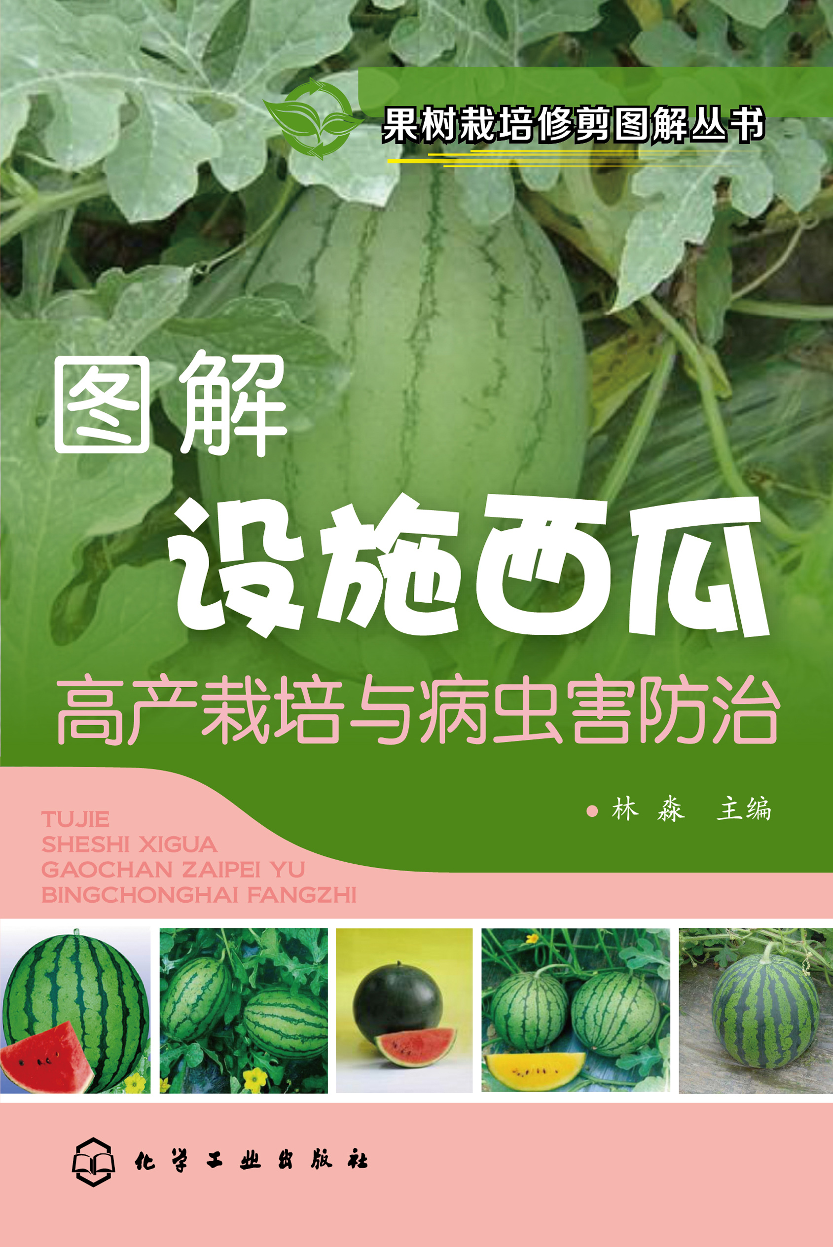 图解设施西瓜高产栽培与病虫害防治