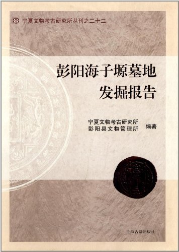 彭阳海子塬墓地发掘报告