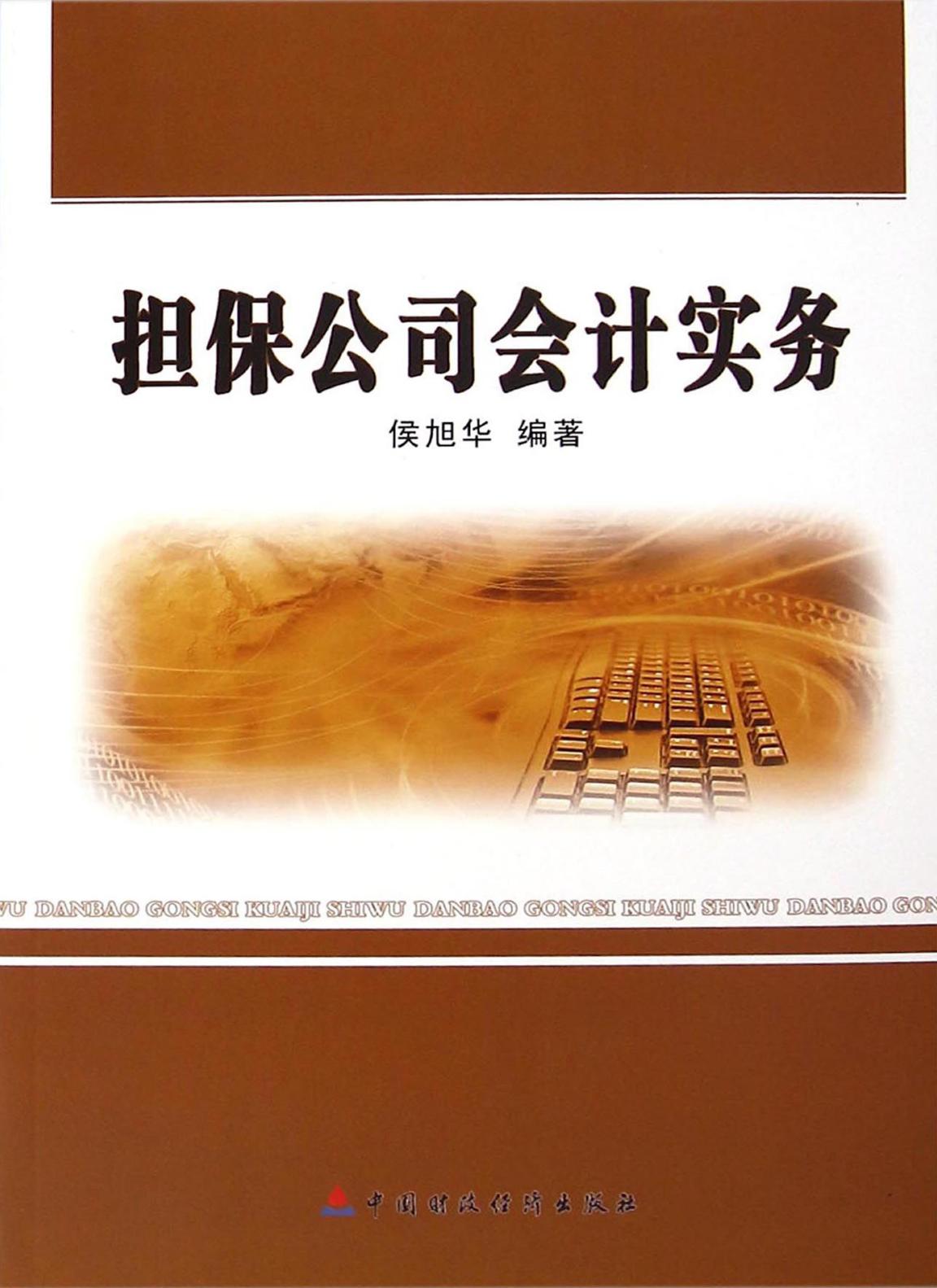 担保公司会计实务