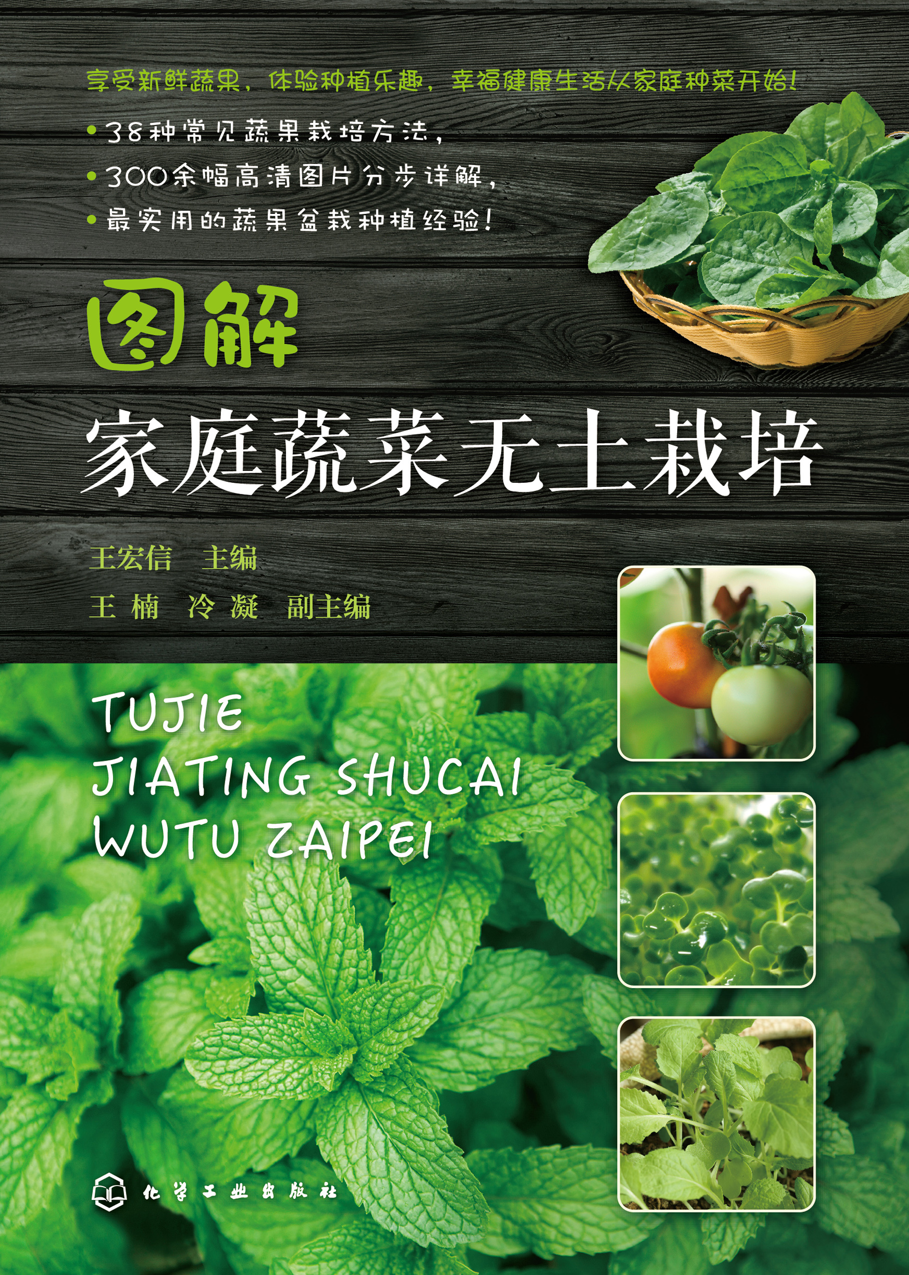 图解家庭蔬菜无土栽培