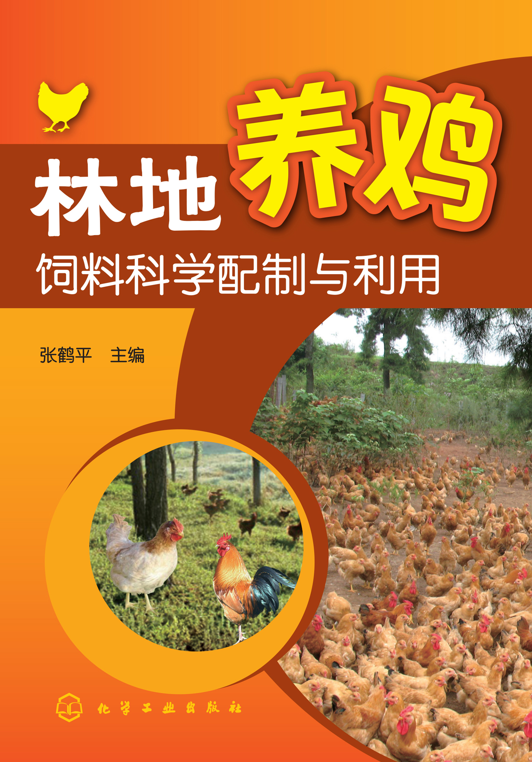 林地养鸡饲料科学配制与利用