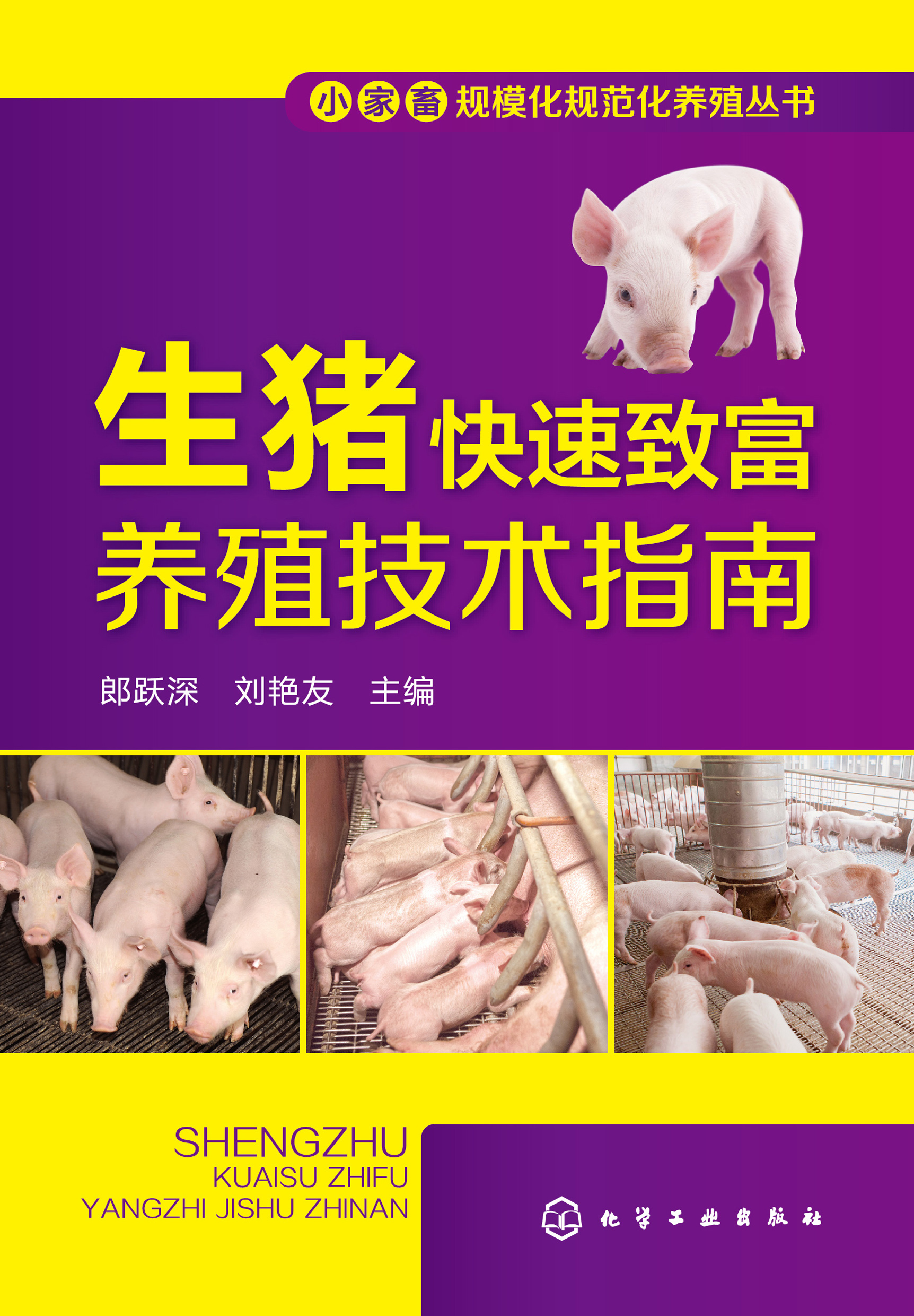 生猪快速致富养殖技术指南