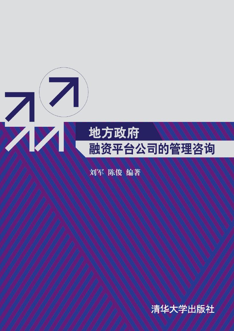 地方政府融资平台公司的管理咨询