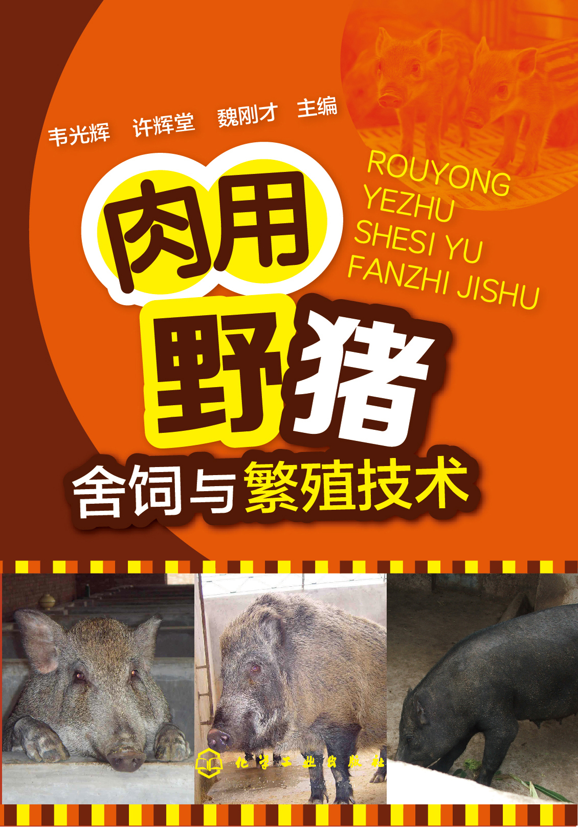 肉用野猪舍饲与繁殖技术