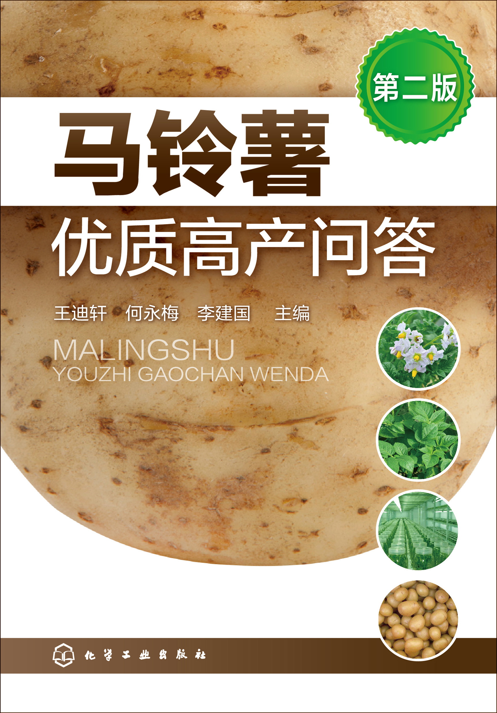 马铃薯优质高产问答
