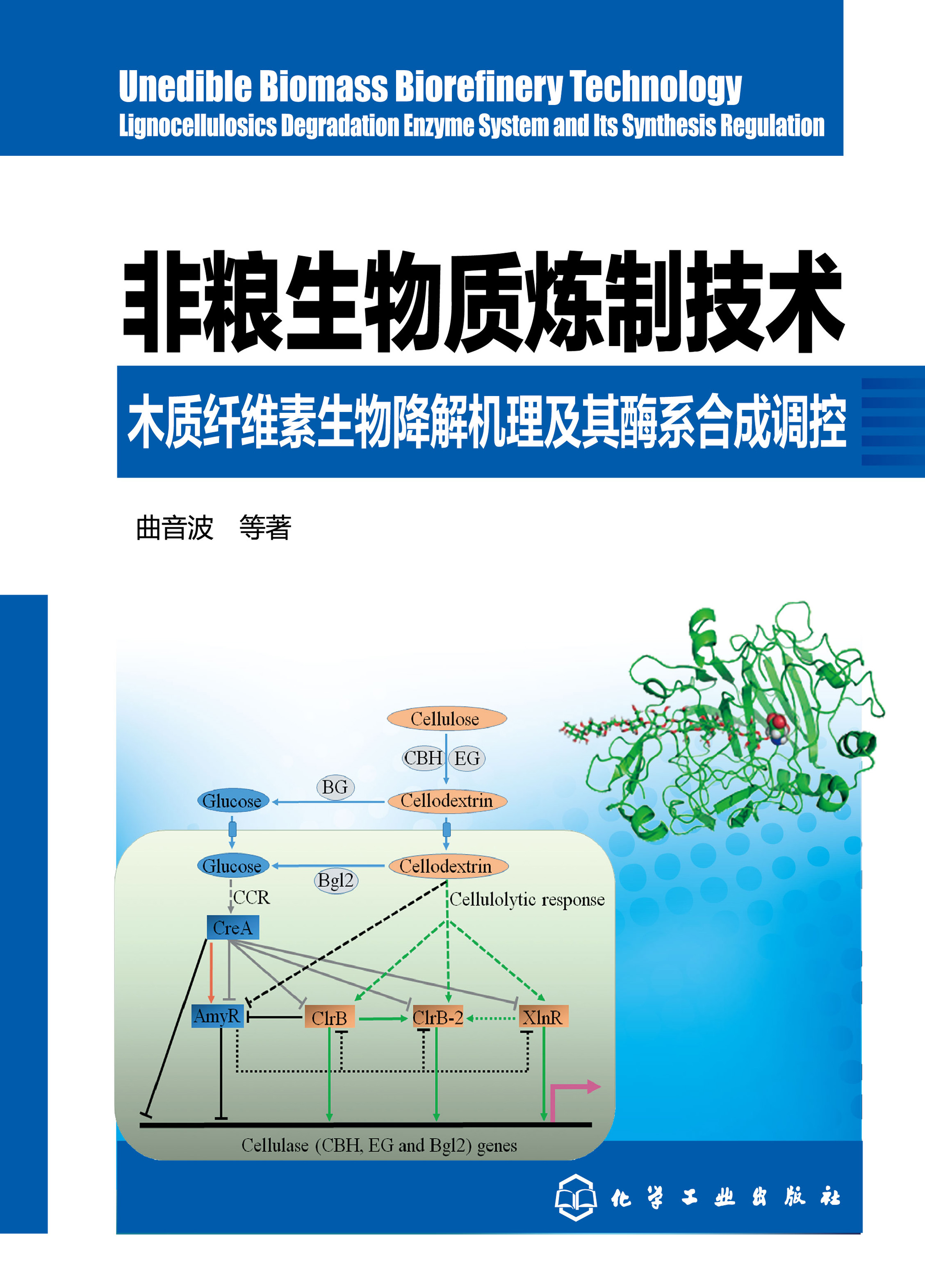 非粮生物质炼制技术——木质纤维素生物降解机理及其酶系合成调控