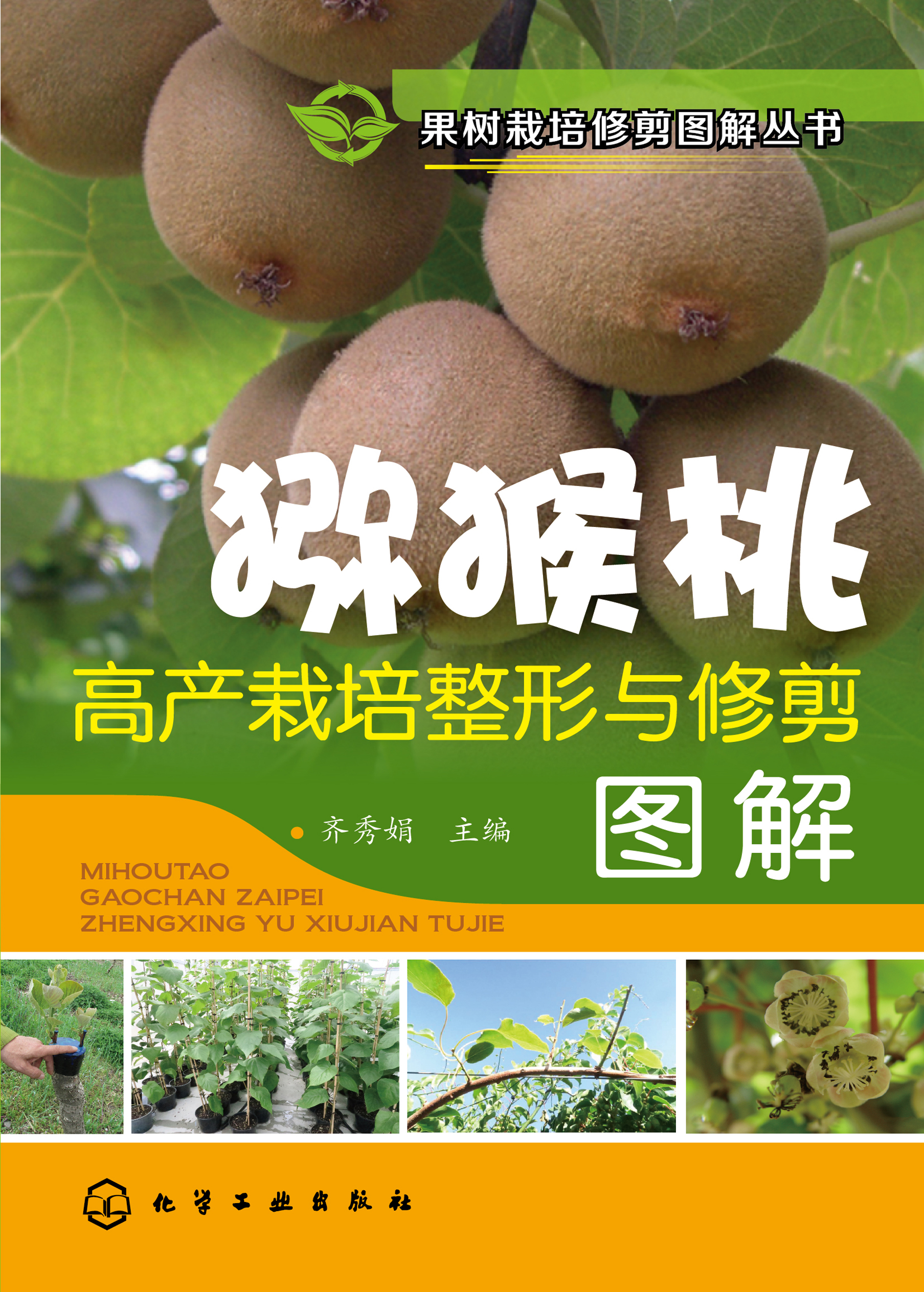 猕猴桃高产栽培整形与修剪图解