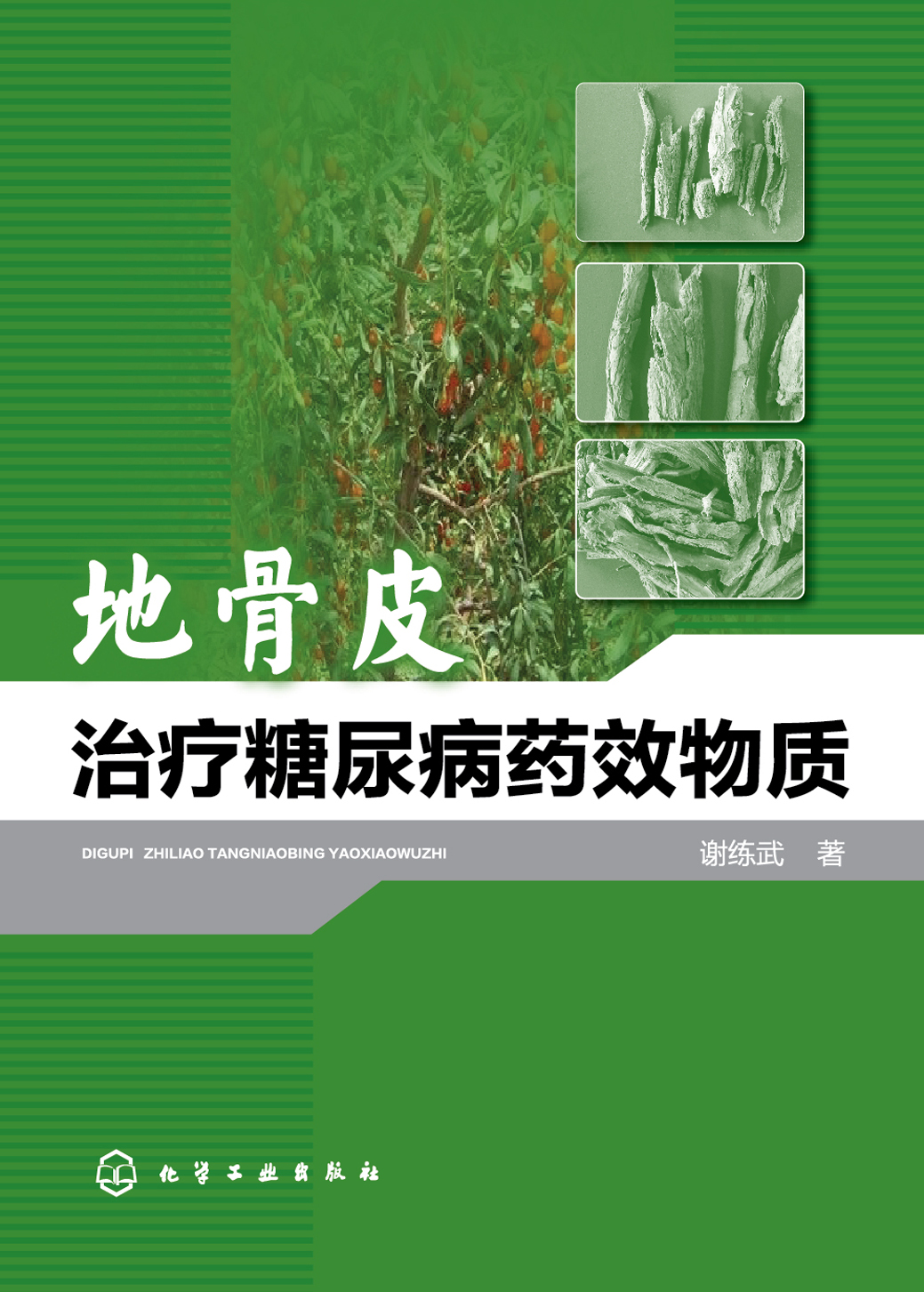 地骨皮治疗糖尿病药效物质