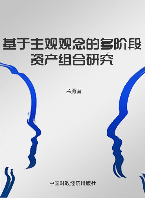 基于主观观念的多阶段资产组合研究