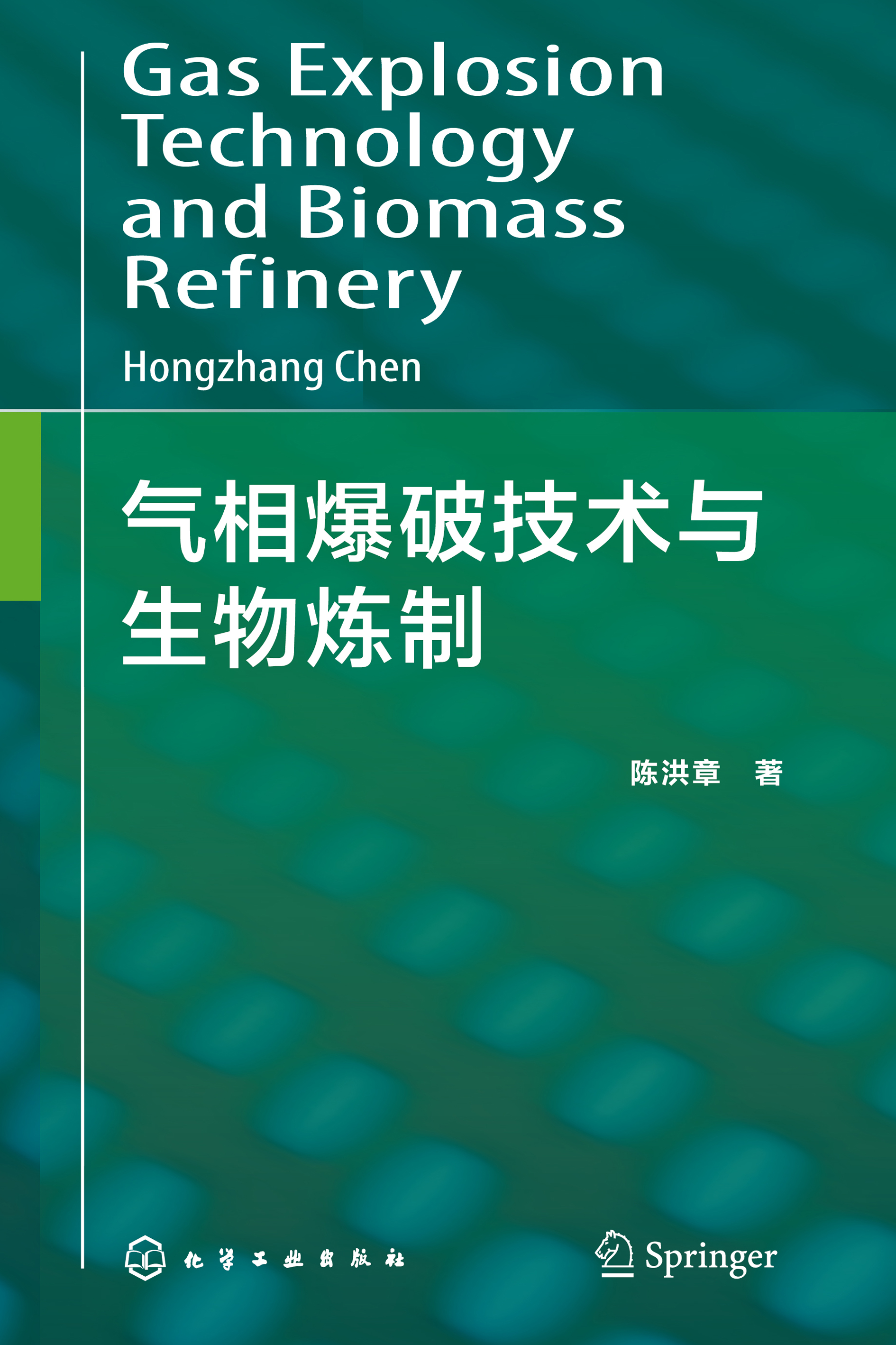 气相爆破技术与生物炼制