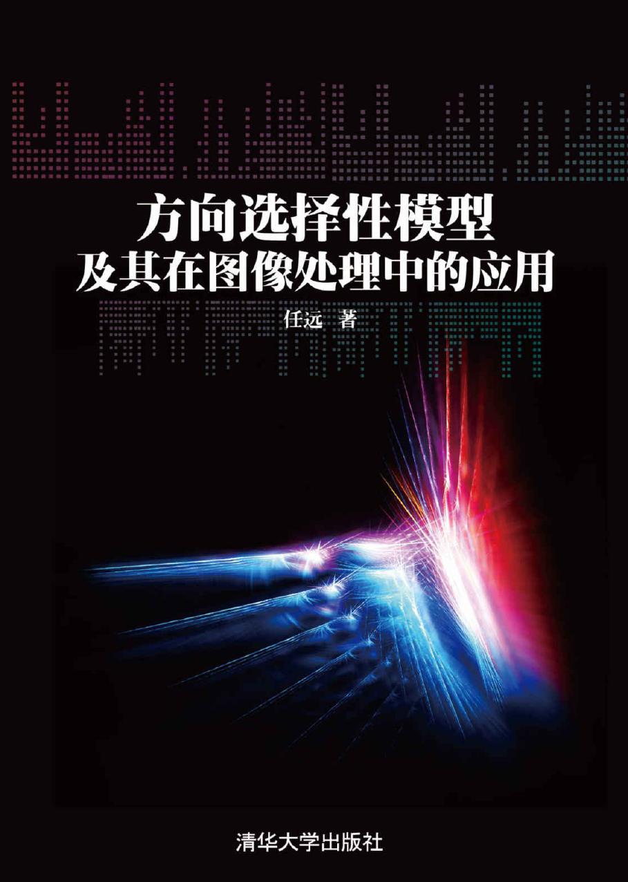 方向选择性模型及其在图像处理中的应用
