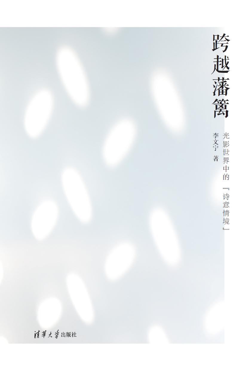 跨越藩篱——光影世界中的“诗意情境”