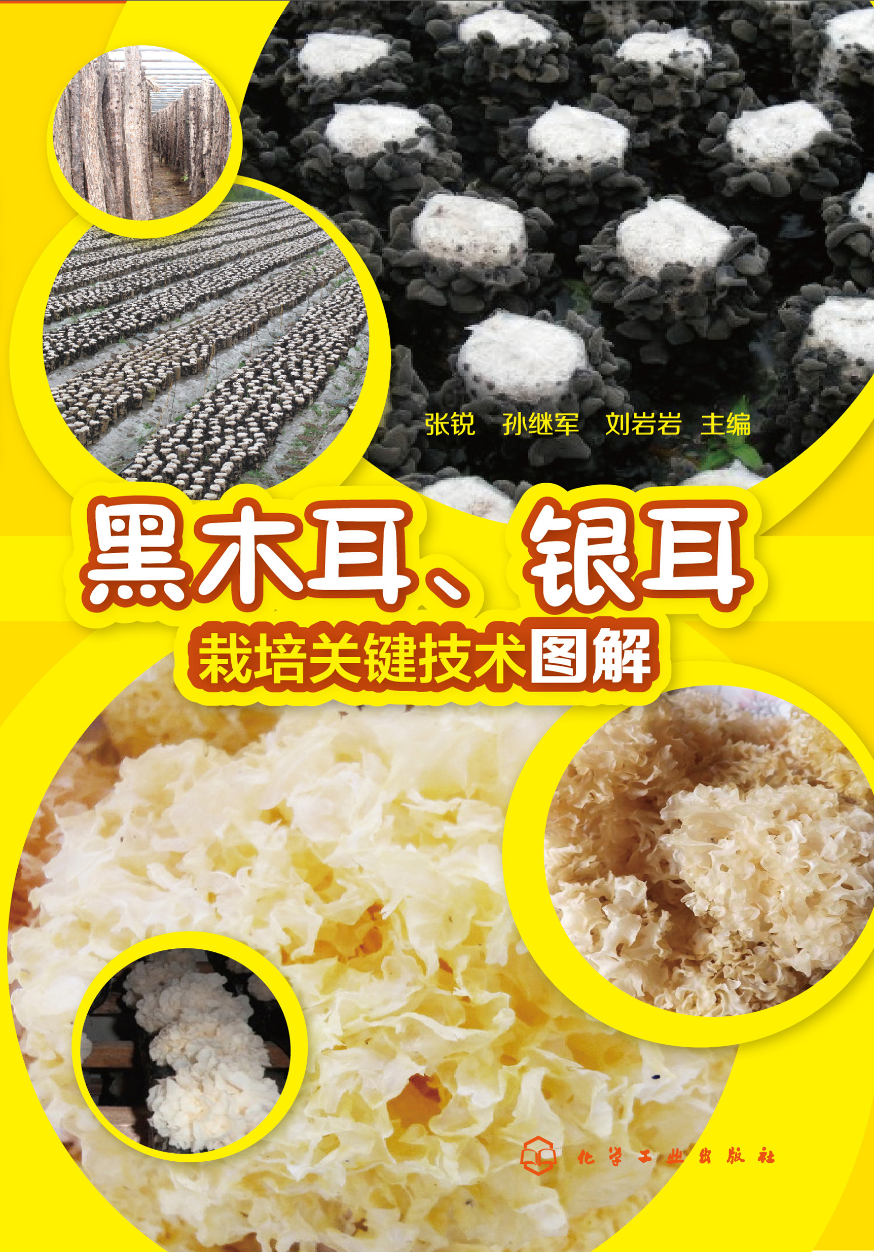 黑木耳、银耳栽培关键技术图解