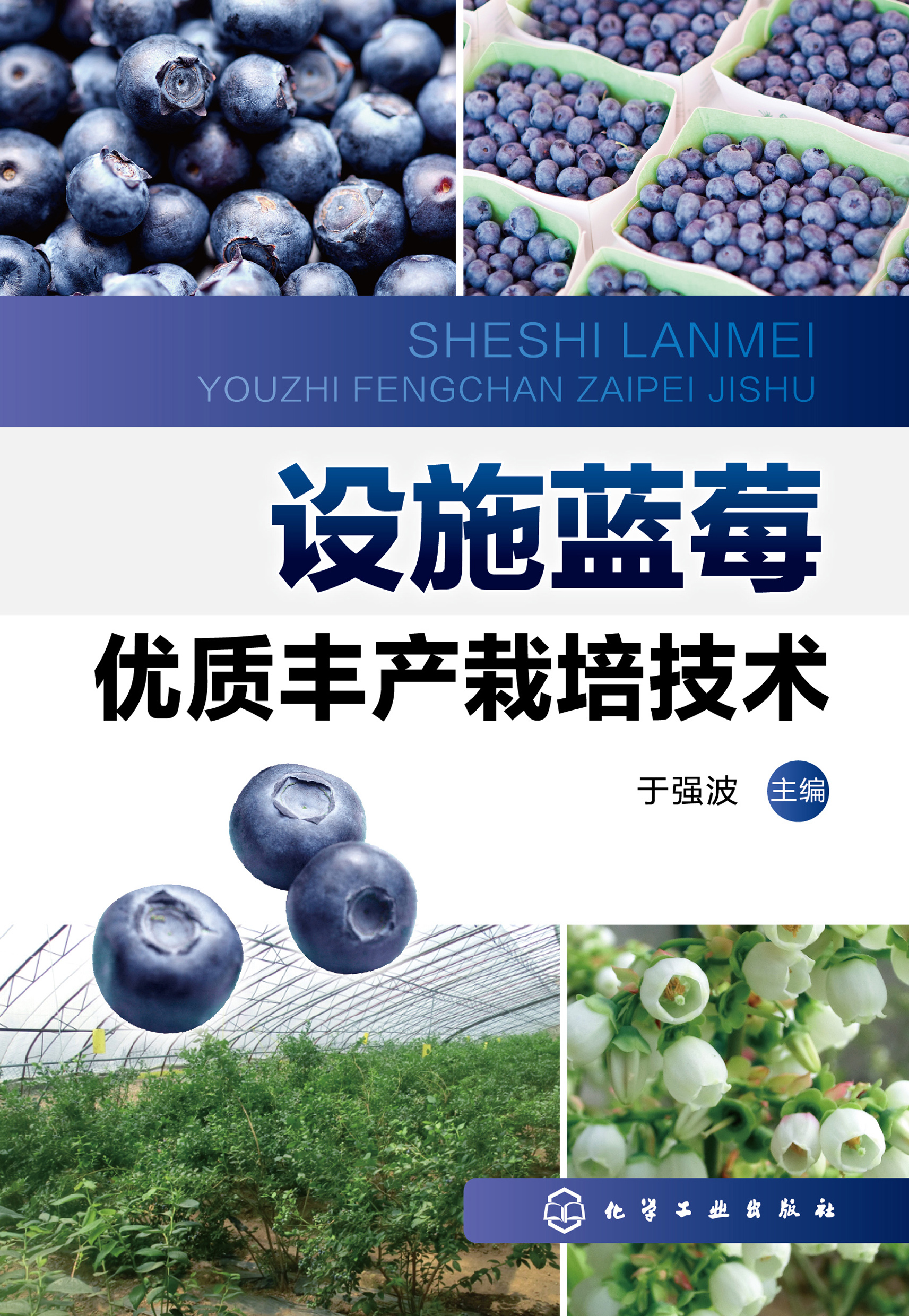 设施蓝莓优质丰产栽培技术