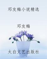 邓友梅小说精选