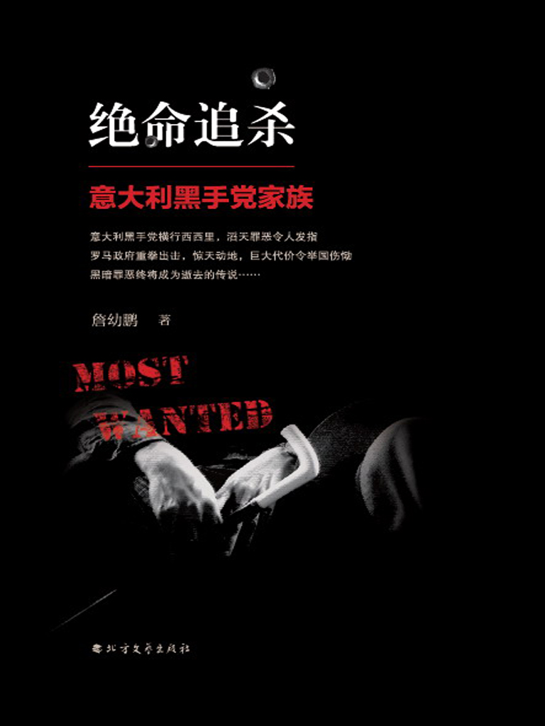 绝命追杀——意大利黑手党家族