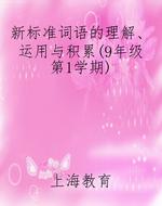 新标准词语的理解、运用与积累（9年级第1学期）