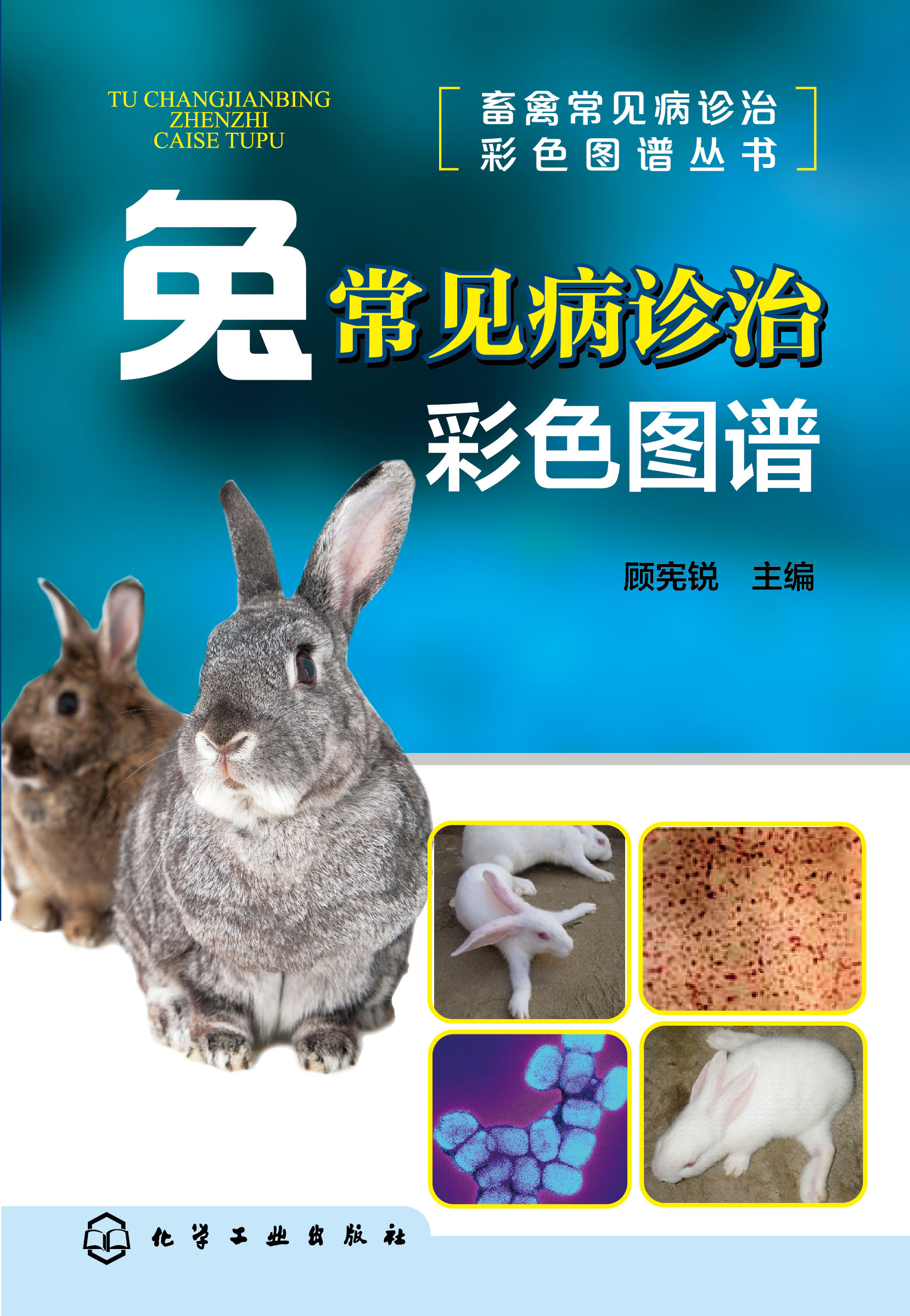 兔常见病诊治彩色图谱
