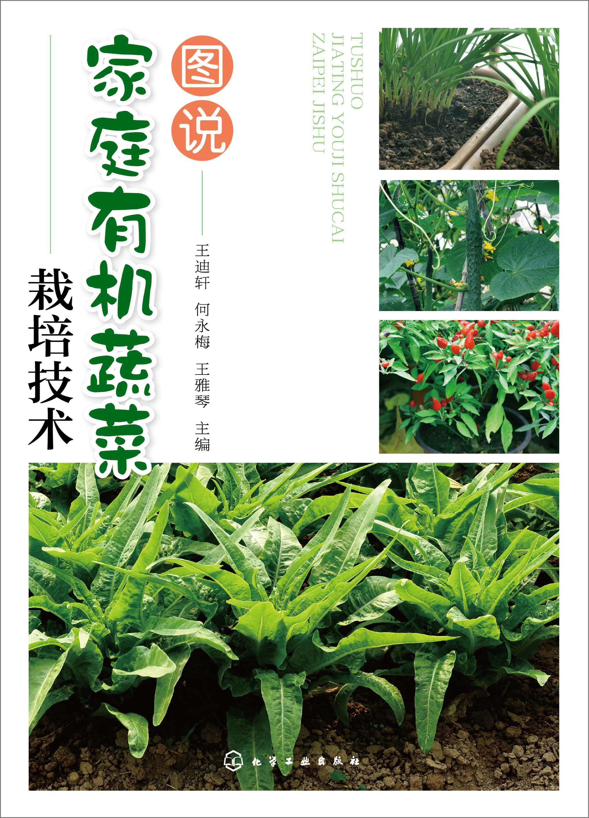 图说家庭有机蔬菜栽培技术