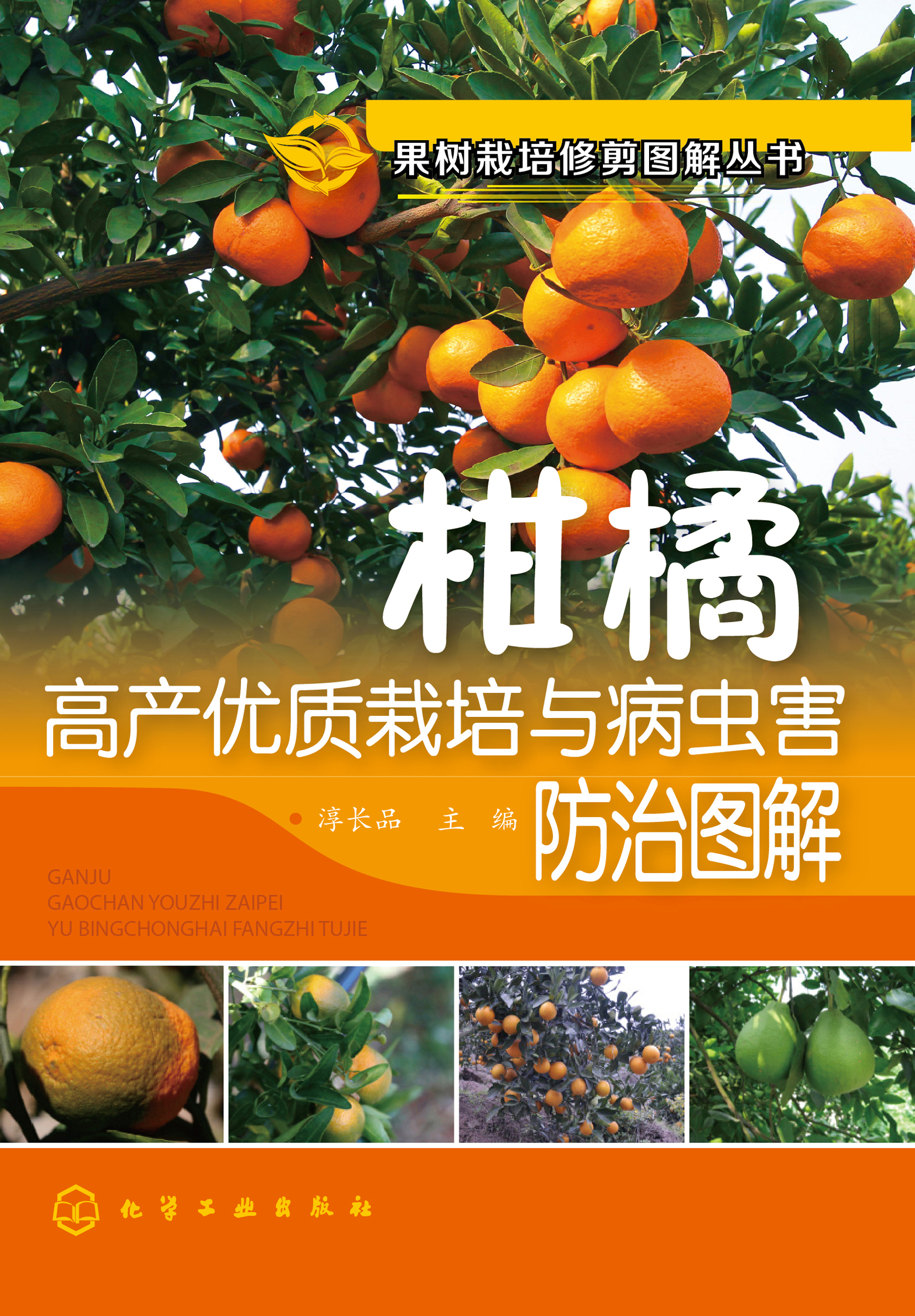 柑橘高产优质栽培与病虫害防治图解