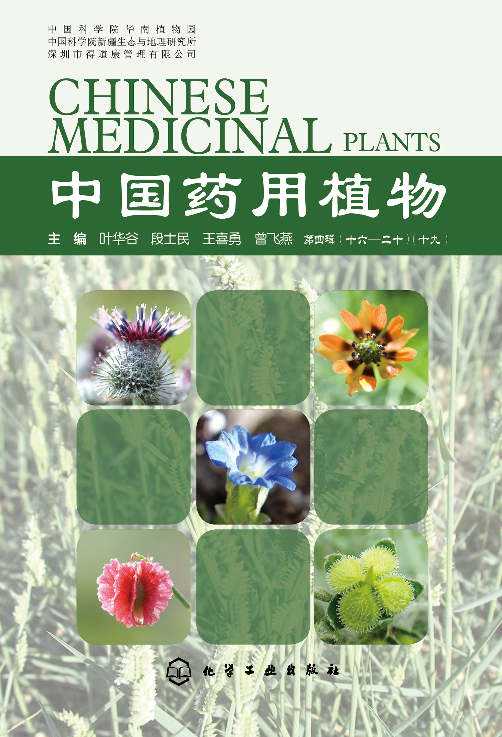 中国药用植物（第四辑 十六-二十）（十九）