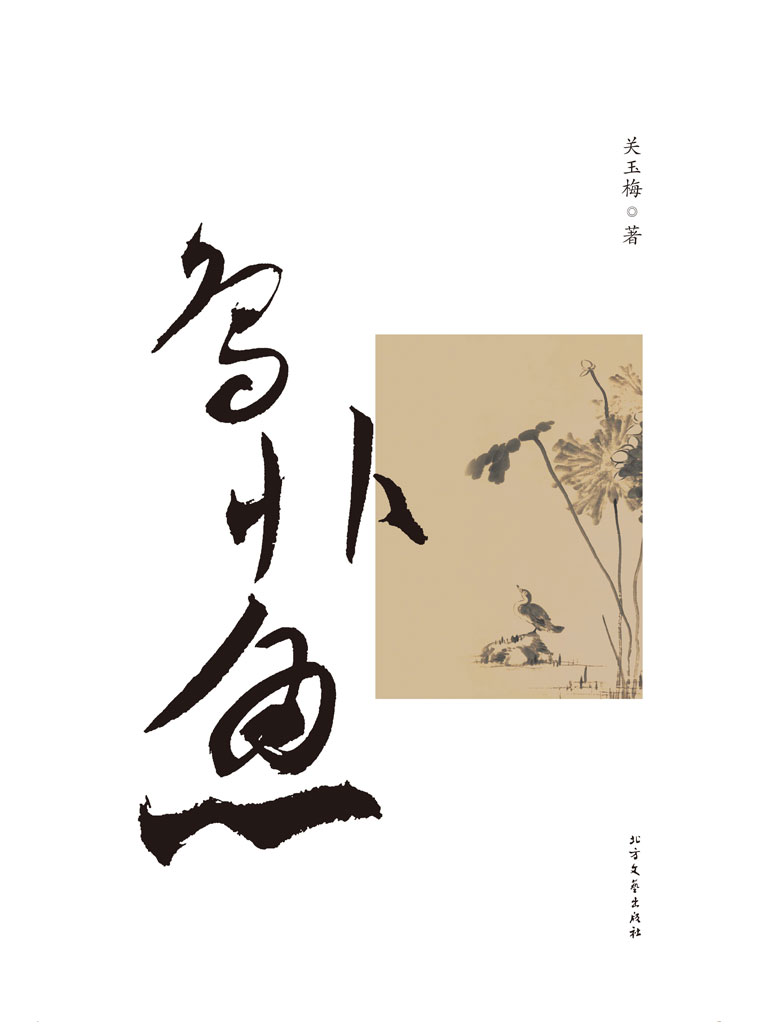 鸟非鱼