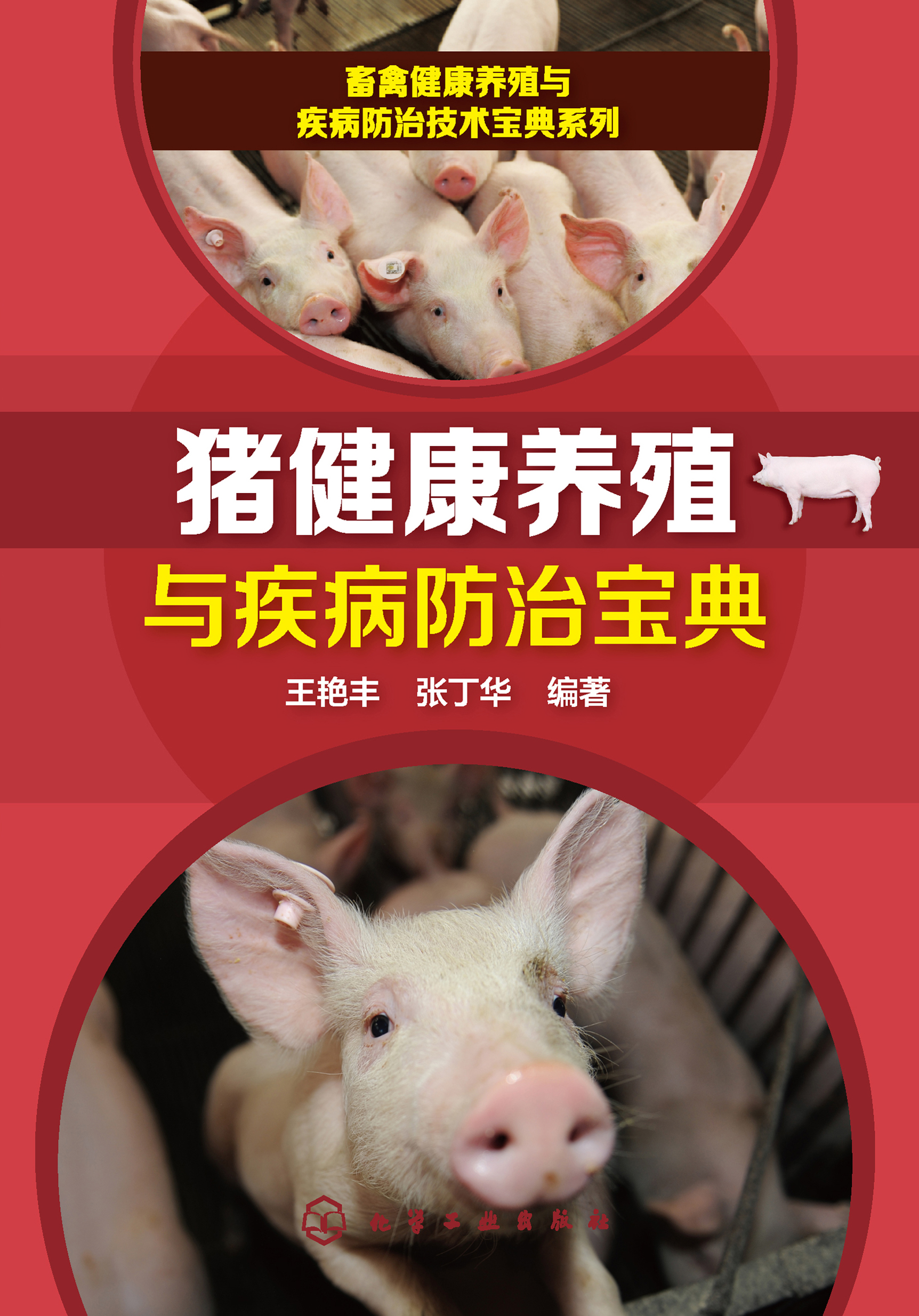 猪健康养殖与疾病防治宝典