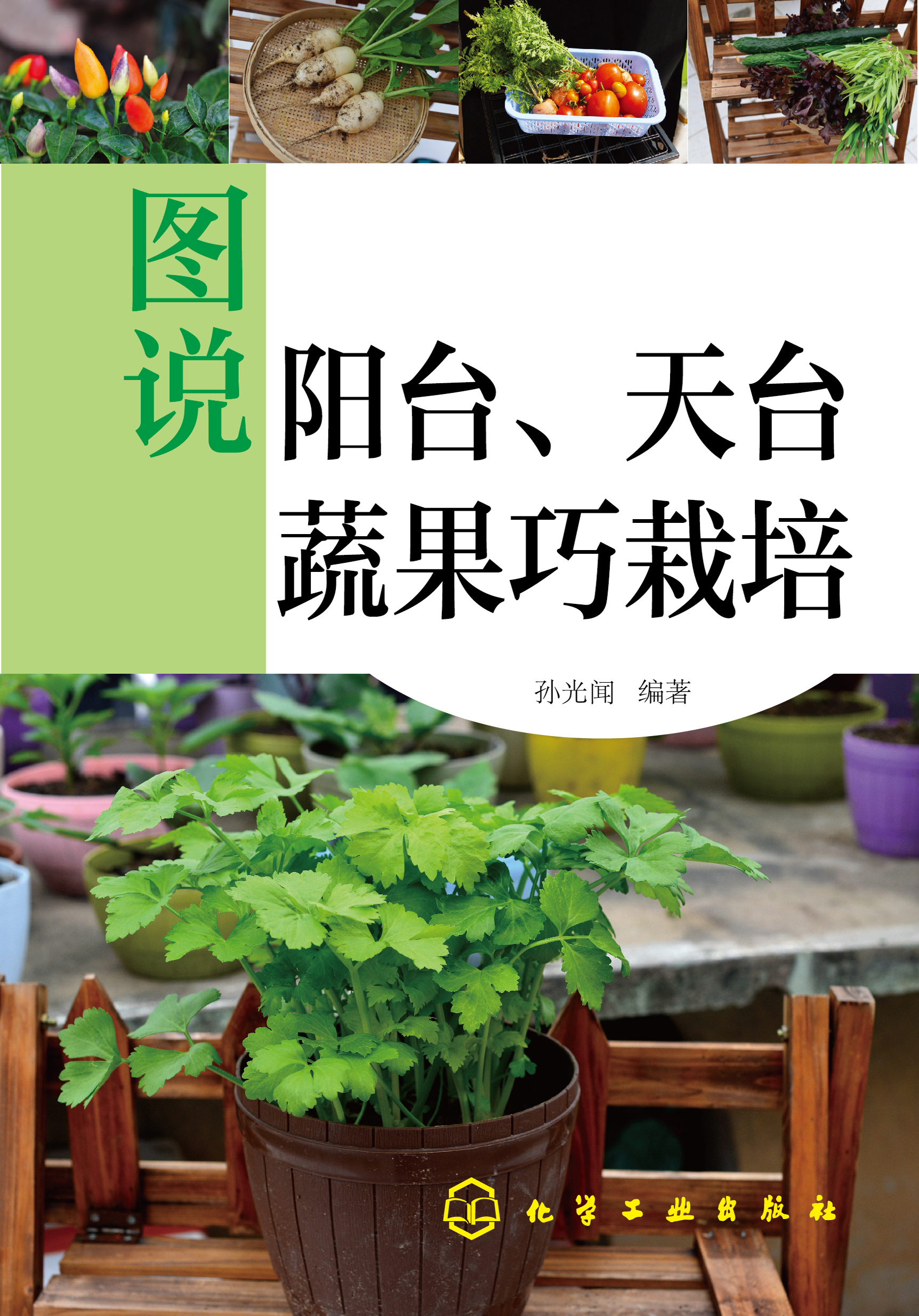 图说阳台、天台蔬果巧栽培