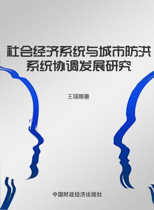 社会经济系统与城市防洪系统协调发展研究