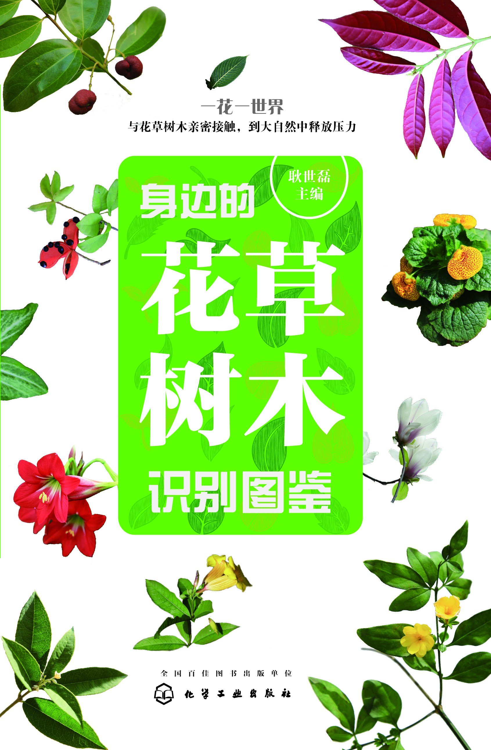 身边的花草树木识别图鉴