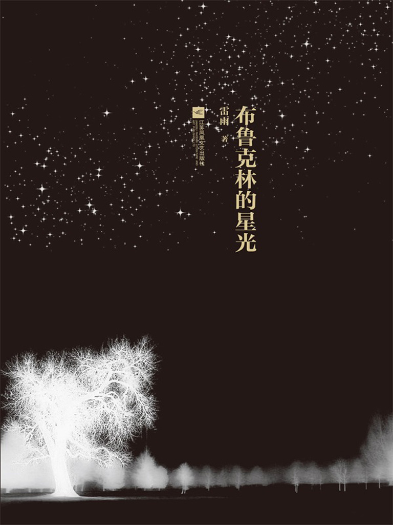 布鲁克林的星光