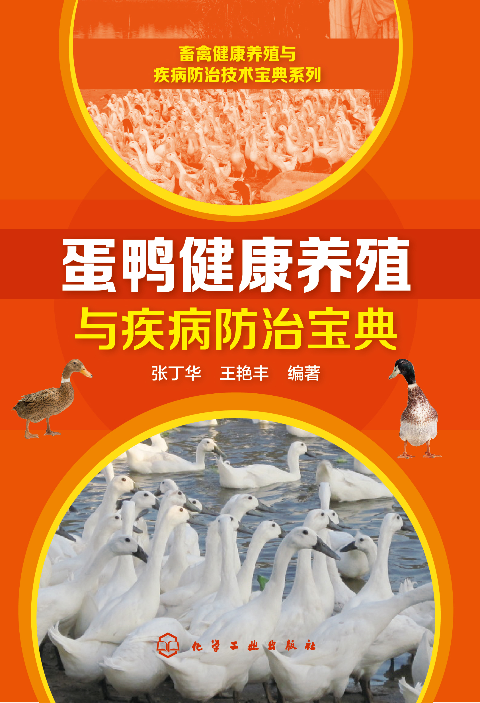 蛋鸭健康养殖与疾病防治宝典