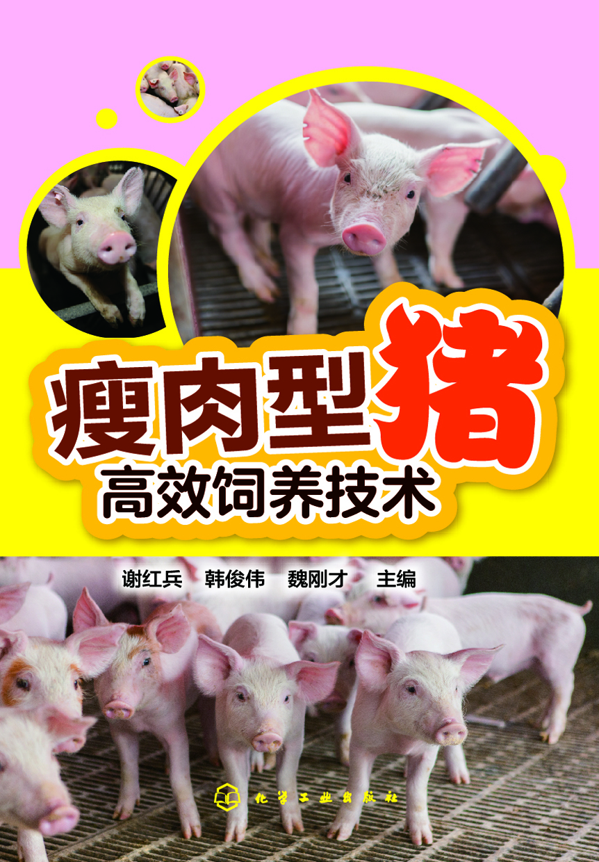 瘦肉型猪高效饲养技术