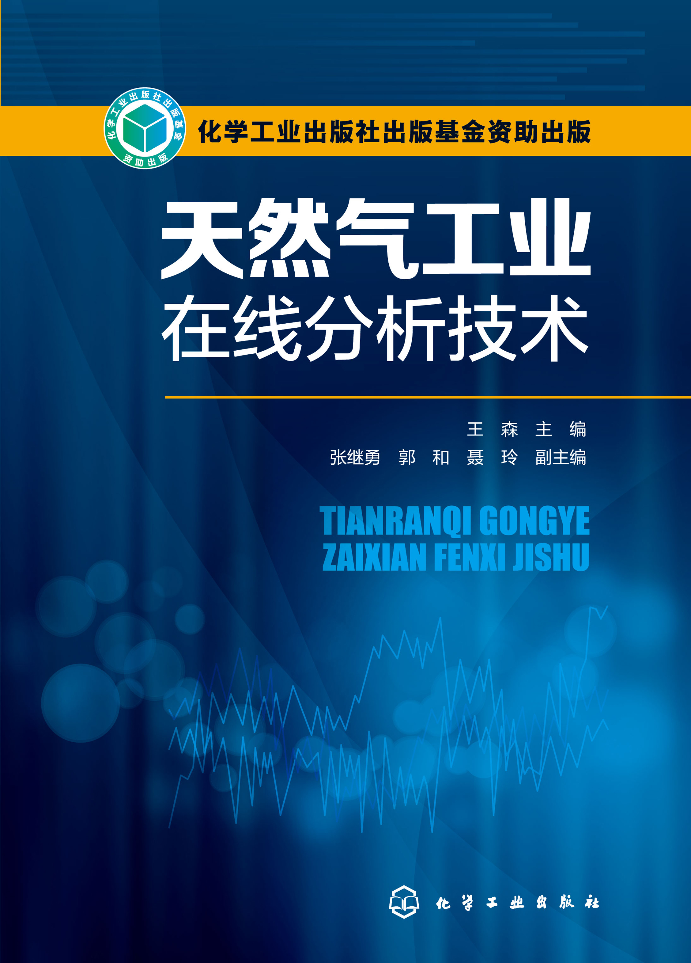 天然气工业在线分析技术